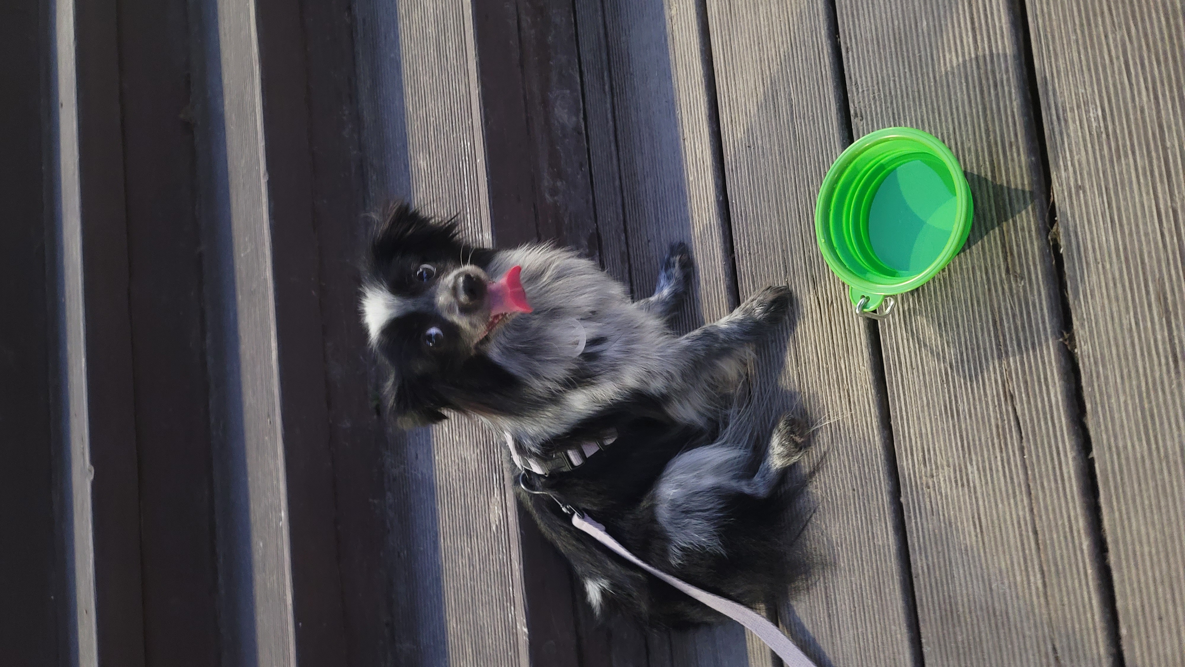 크루 3개월 차, 이제 정식 가족이 되었어요^^