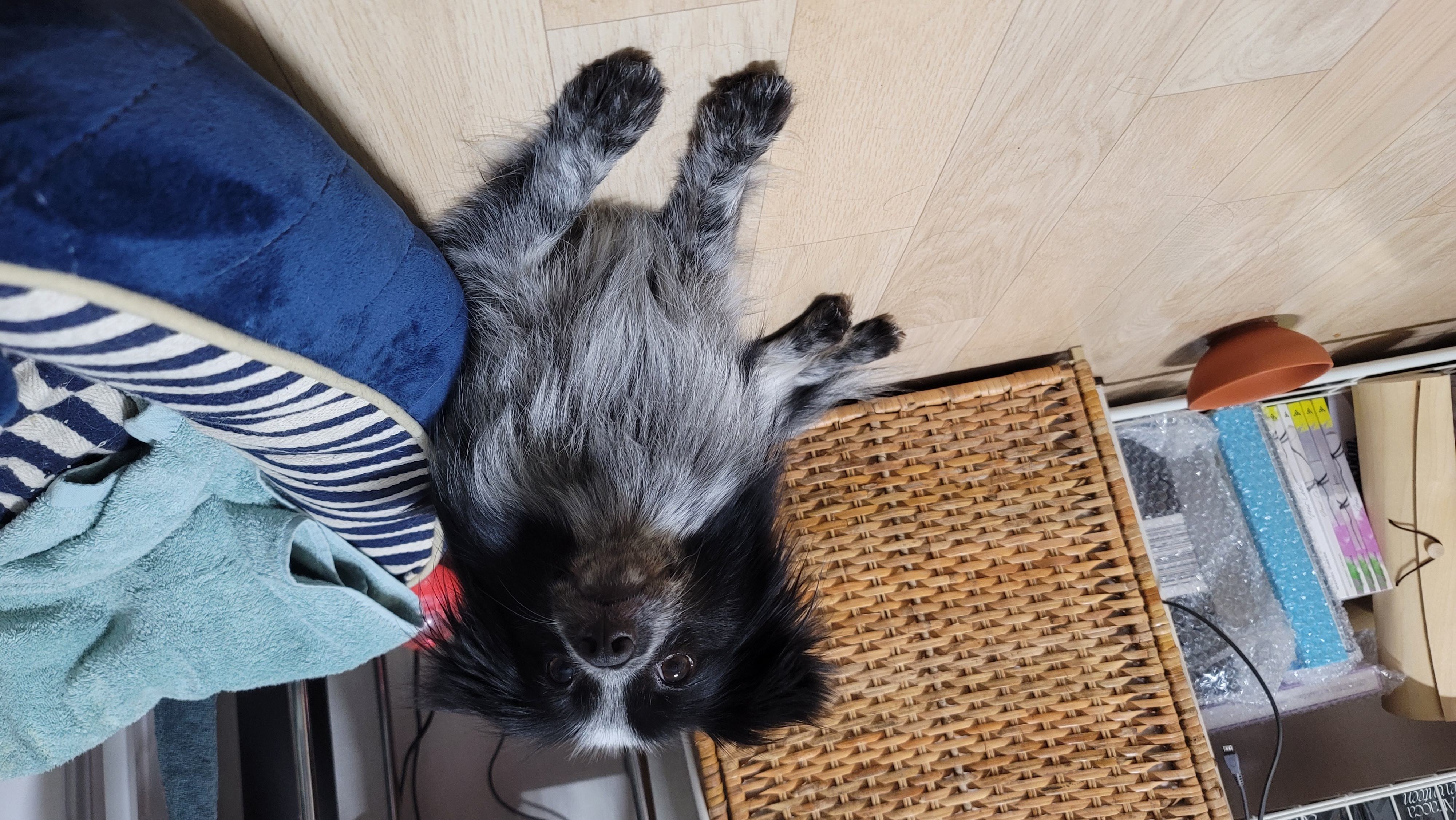 크루 3개월 차, 이제 정식 가족이 되었어요^^