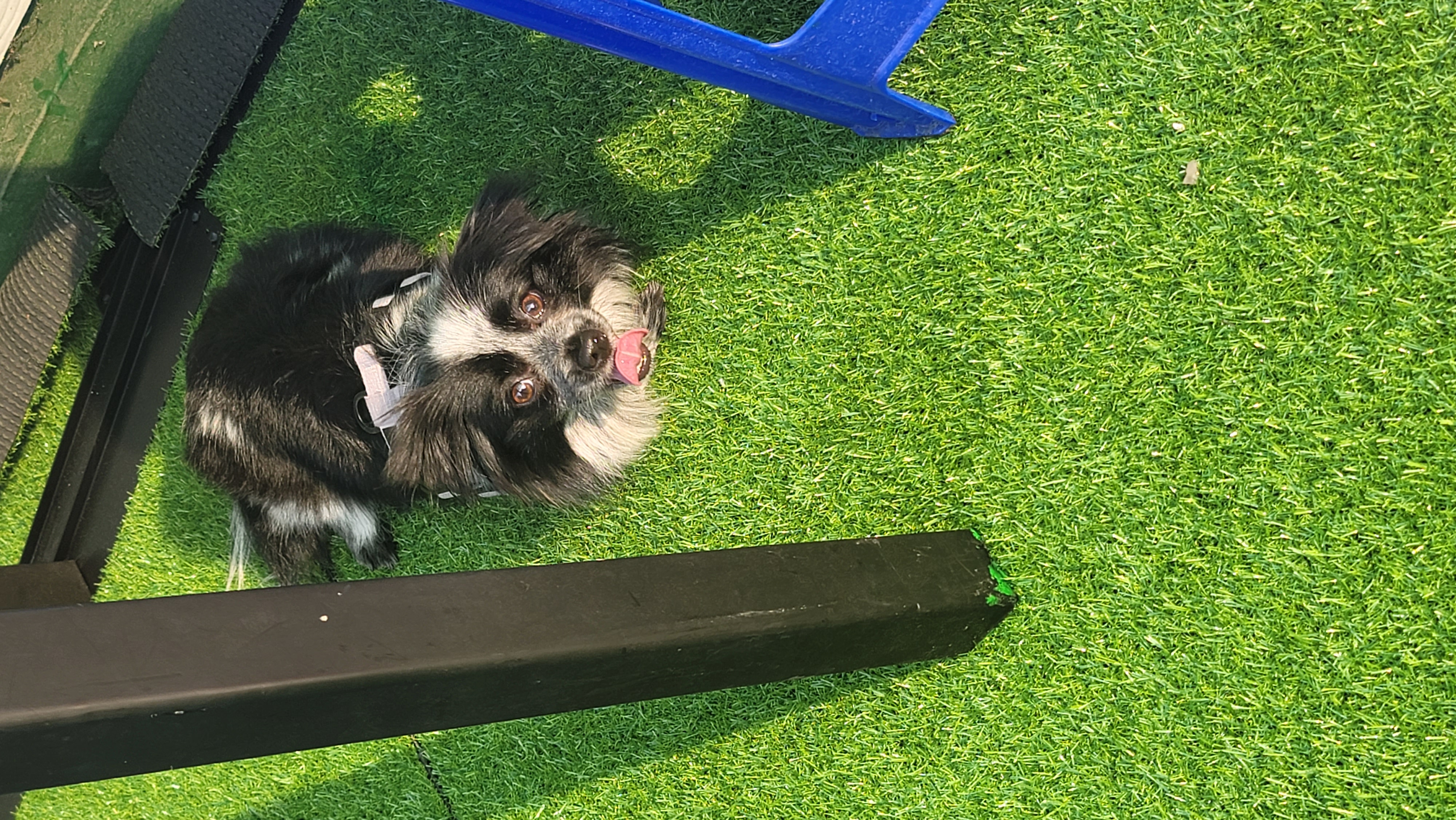 크루 3개월 차, 이제 정식 가족이 되었어요^^