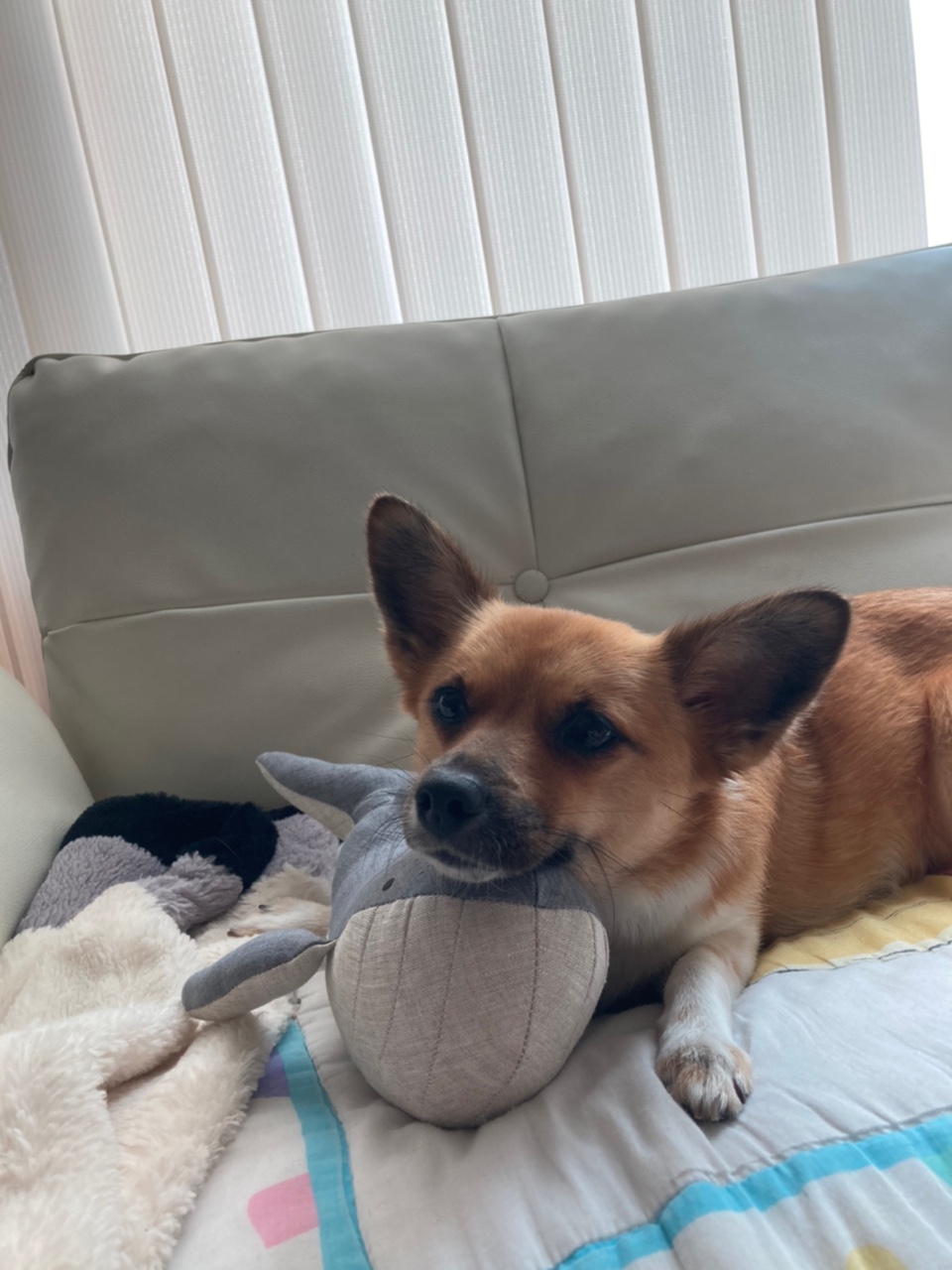 보나 (은일이) 2주년