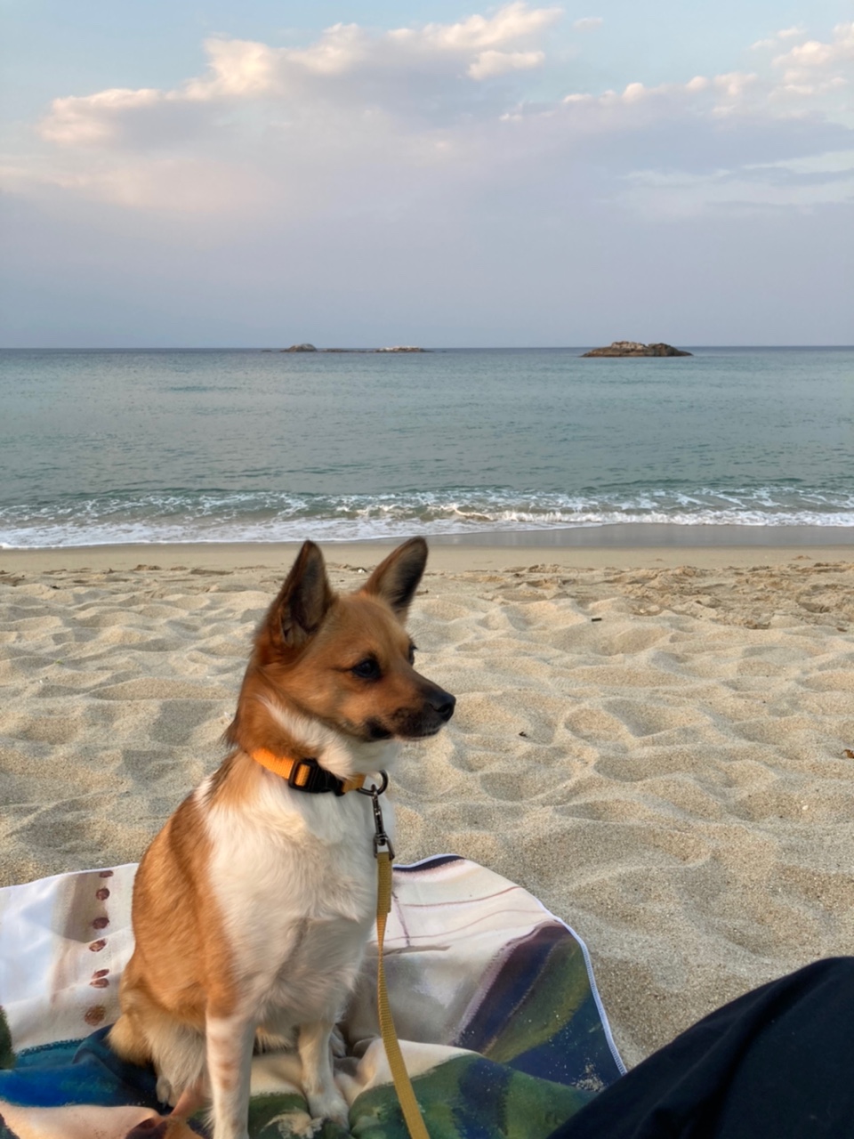 보나 (은일이) 2주년