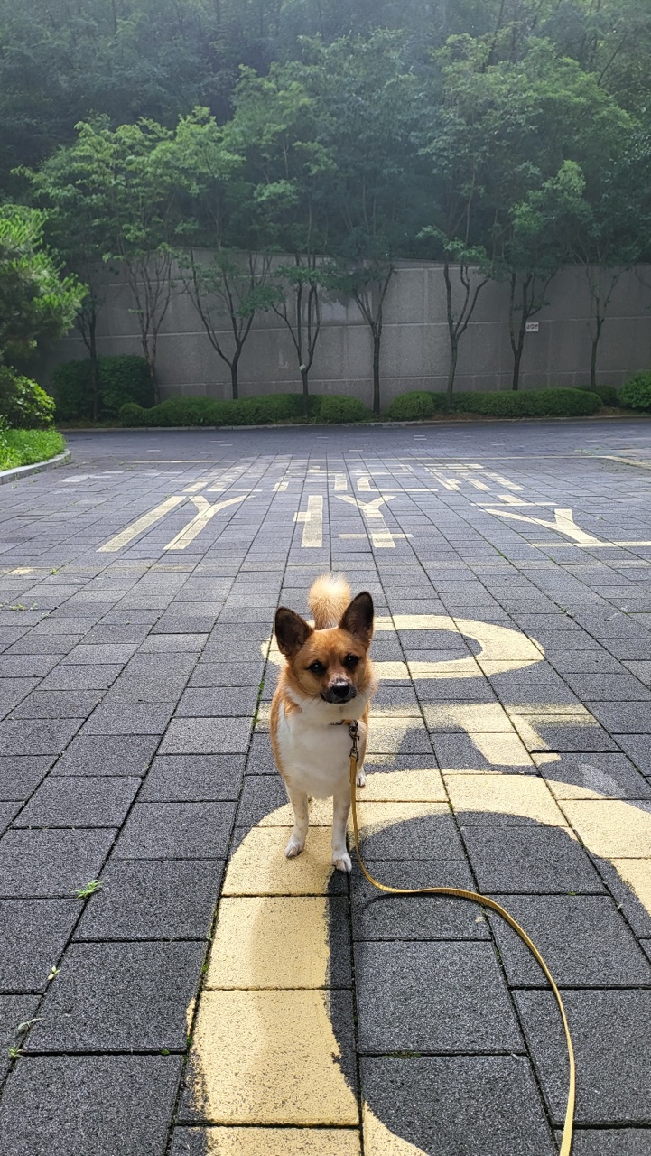 보나 (은일이) 2주년