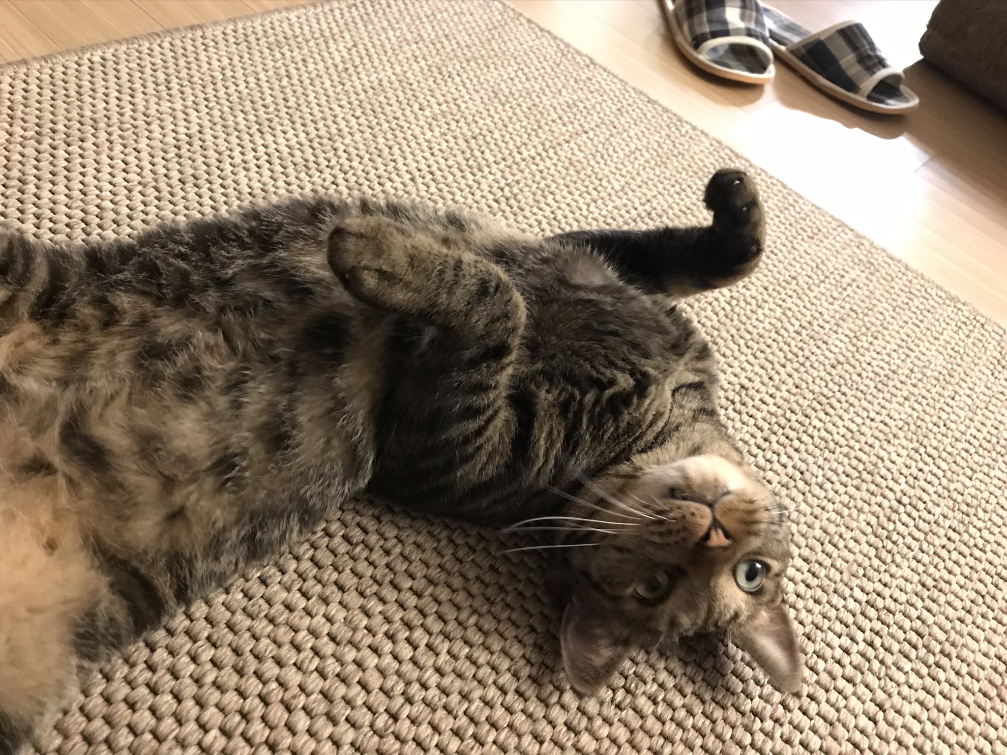 망덕이(매콩) 2주년