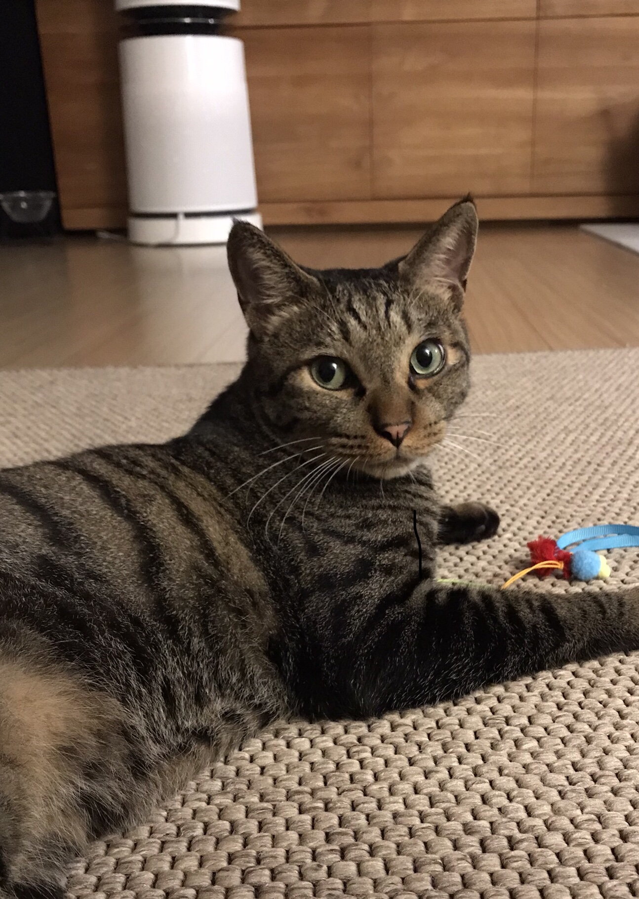 망덕이(매콩) 2주년