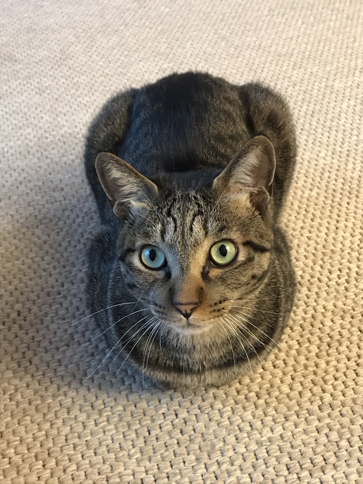 망덕이(매콩) 2주년