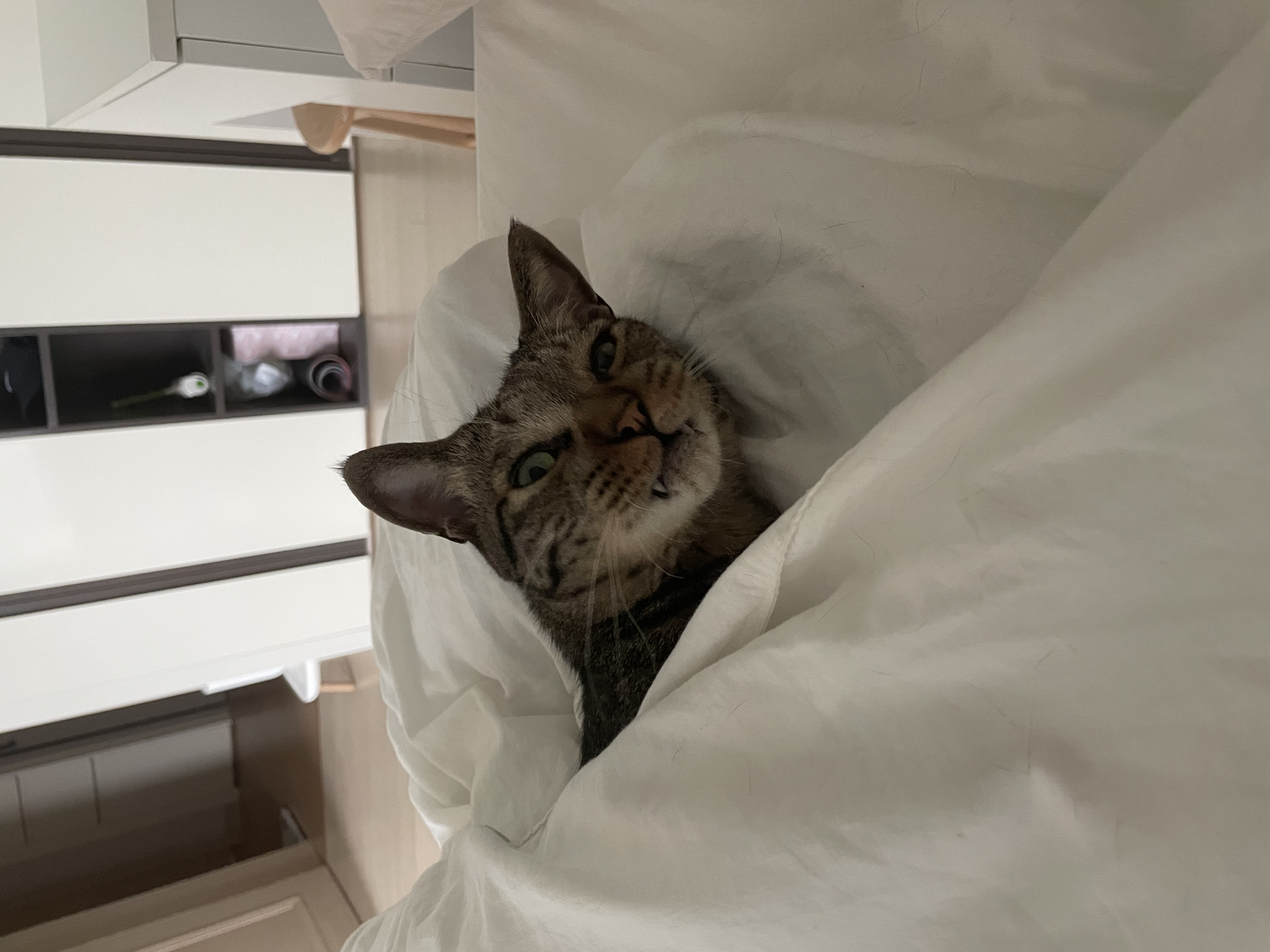 망덕이(매콩) 2주년