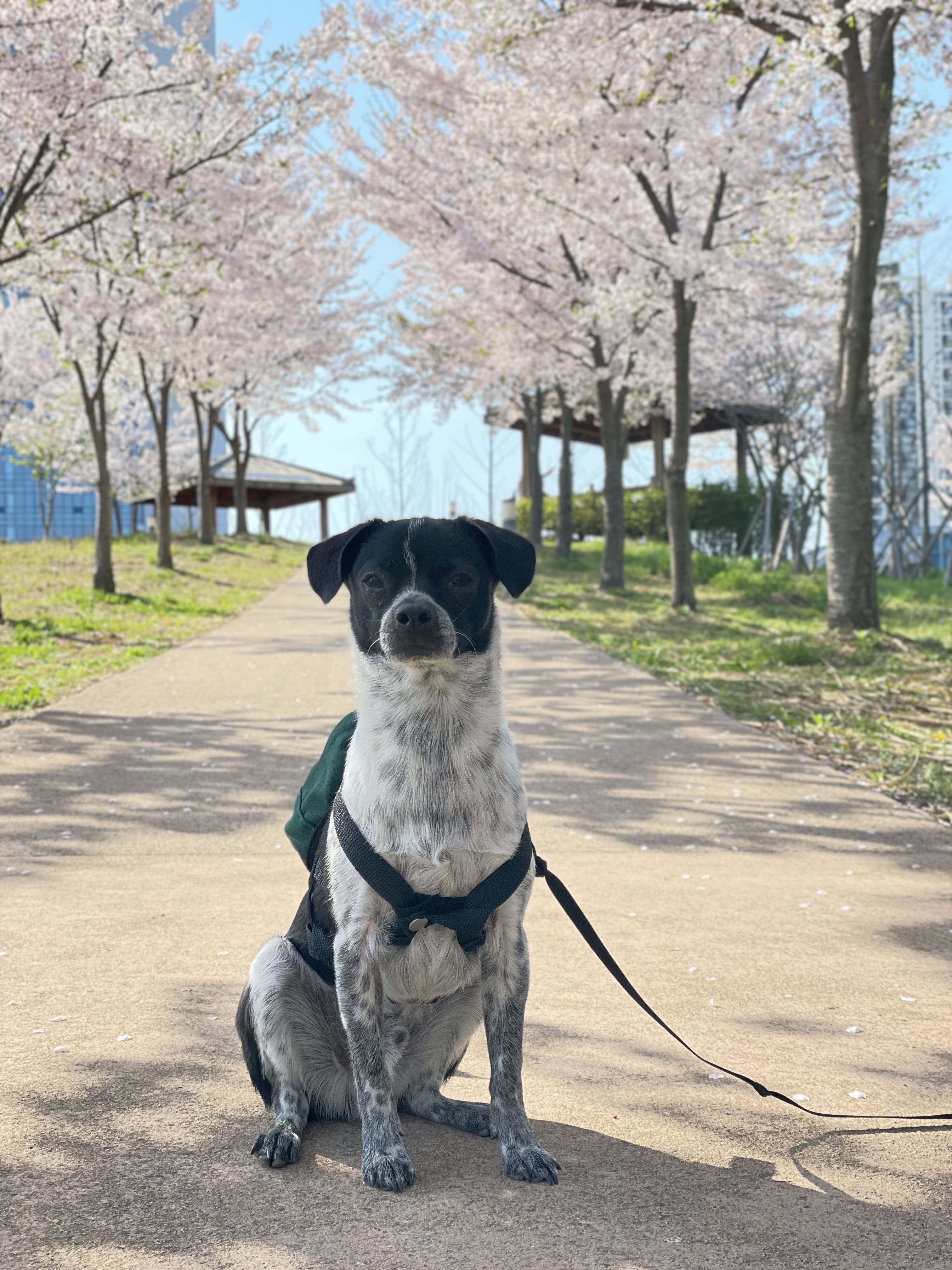 다림(다니) 1주년