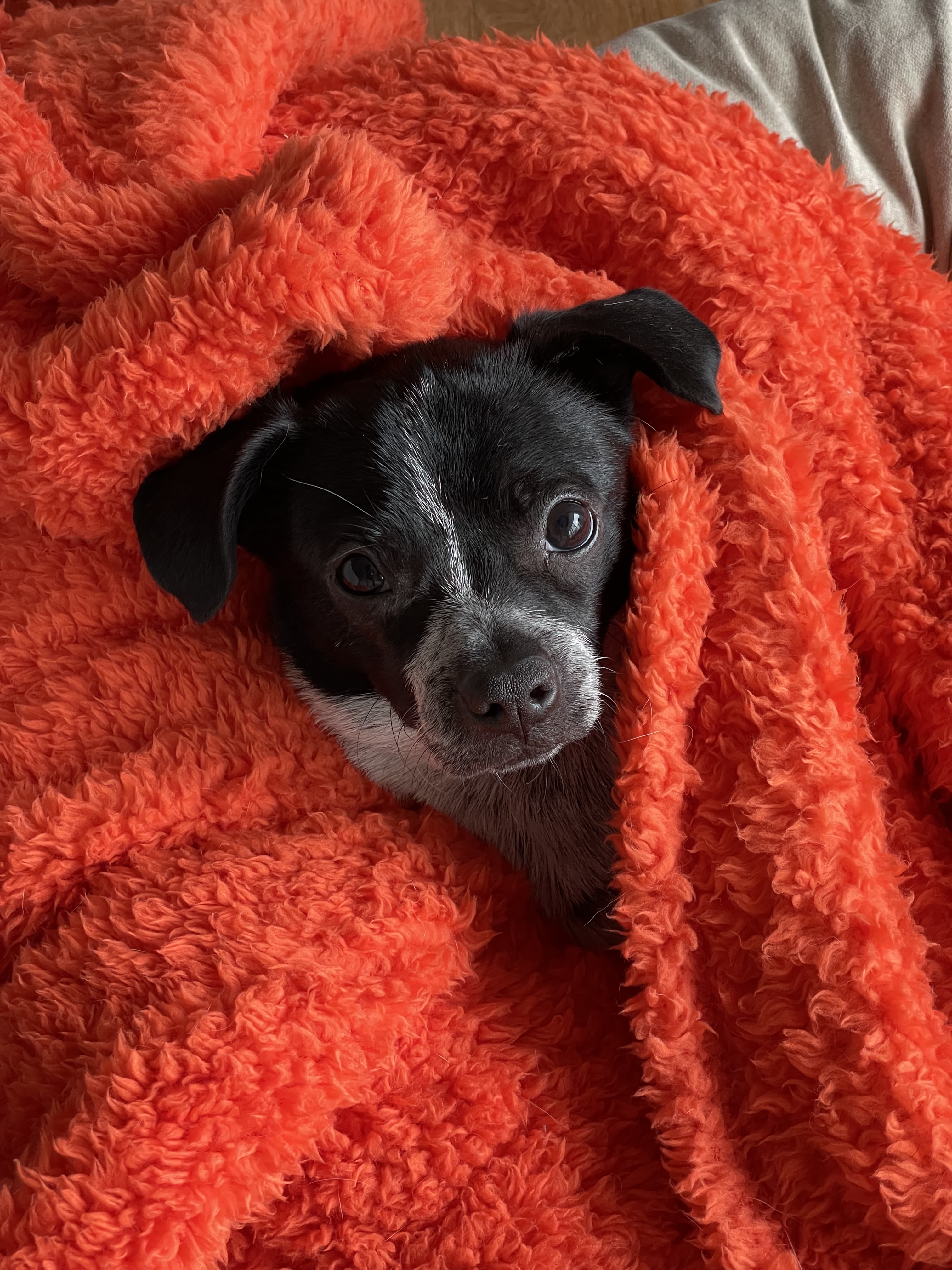 다림(다니) 1주년