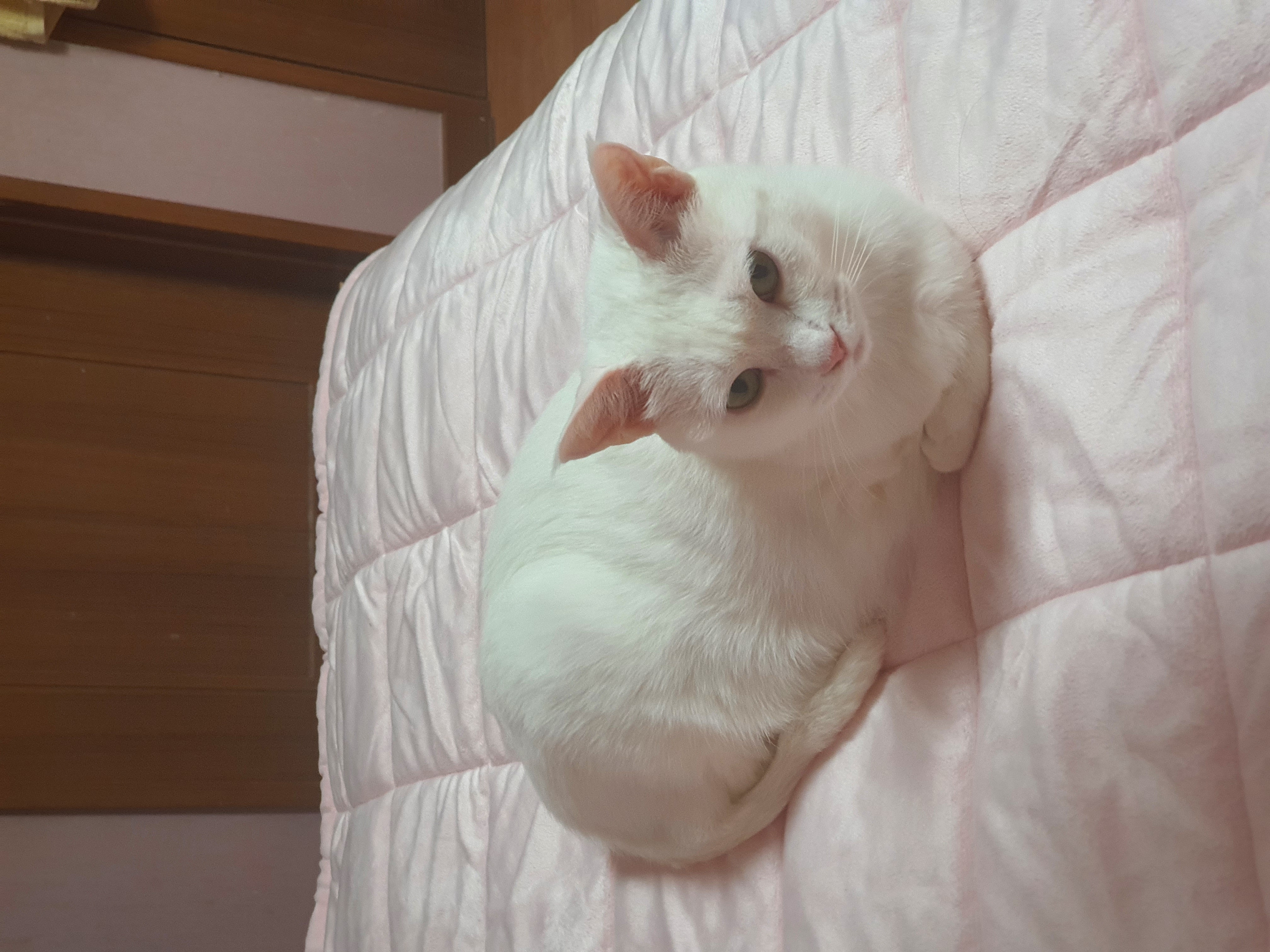 사랑스런 하트^^