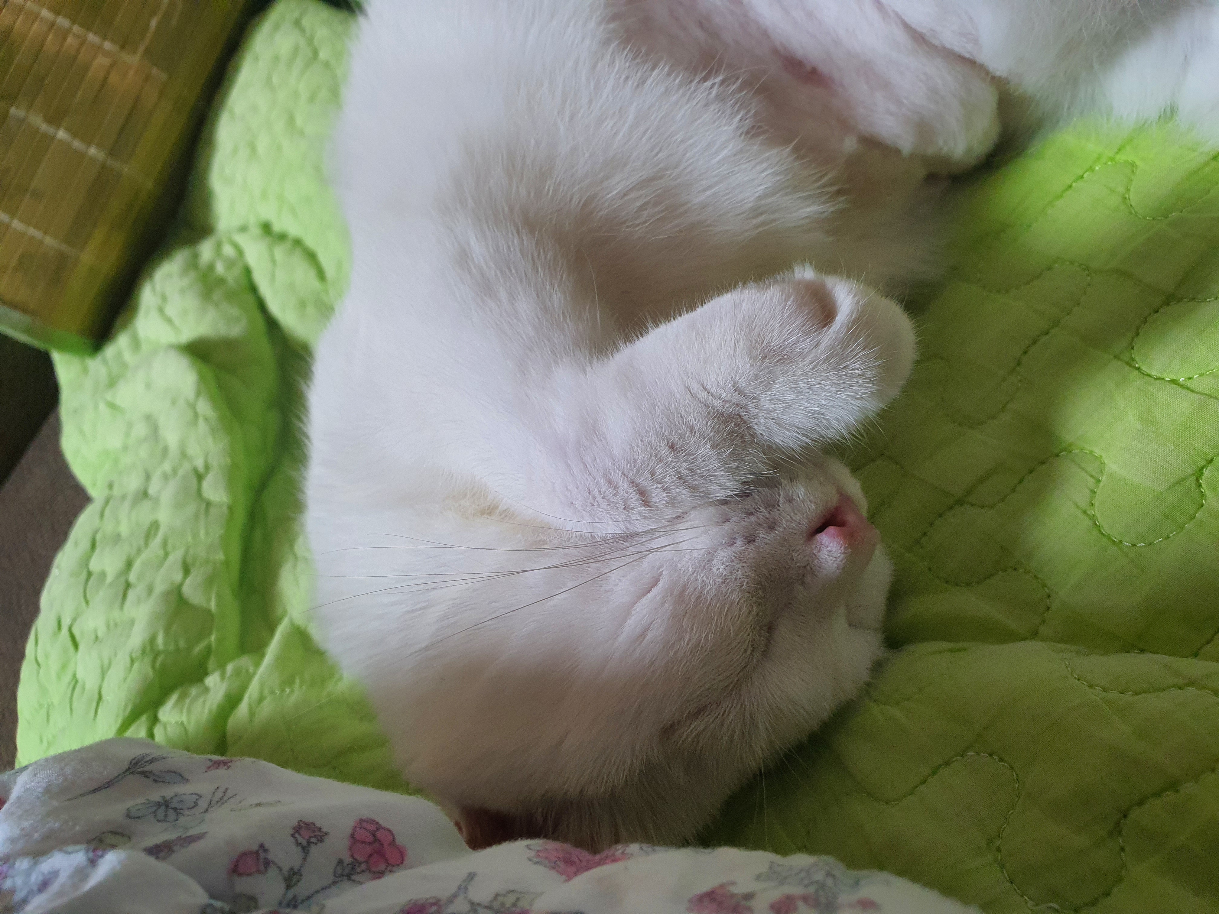 사랑스런 하트^^