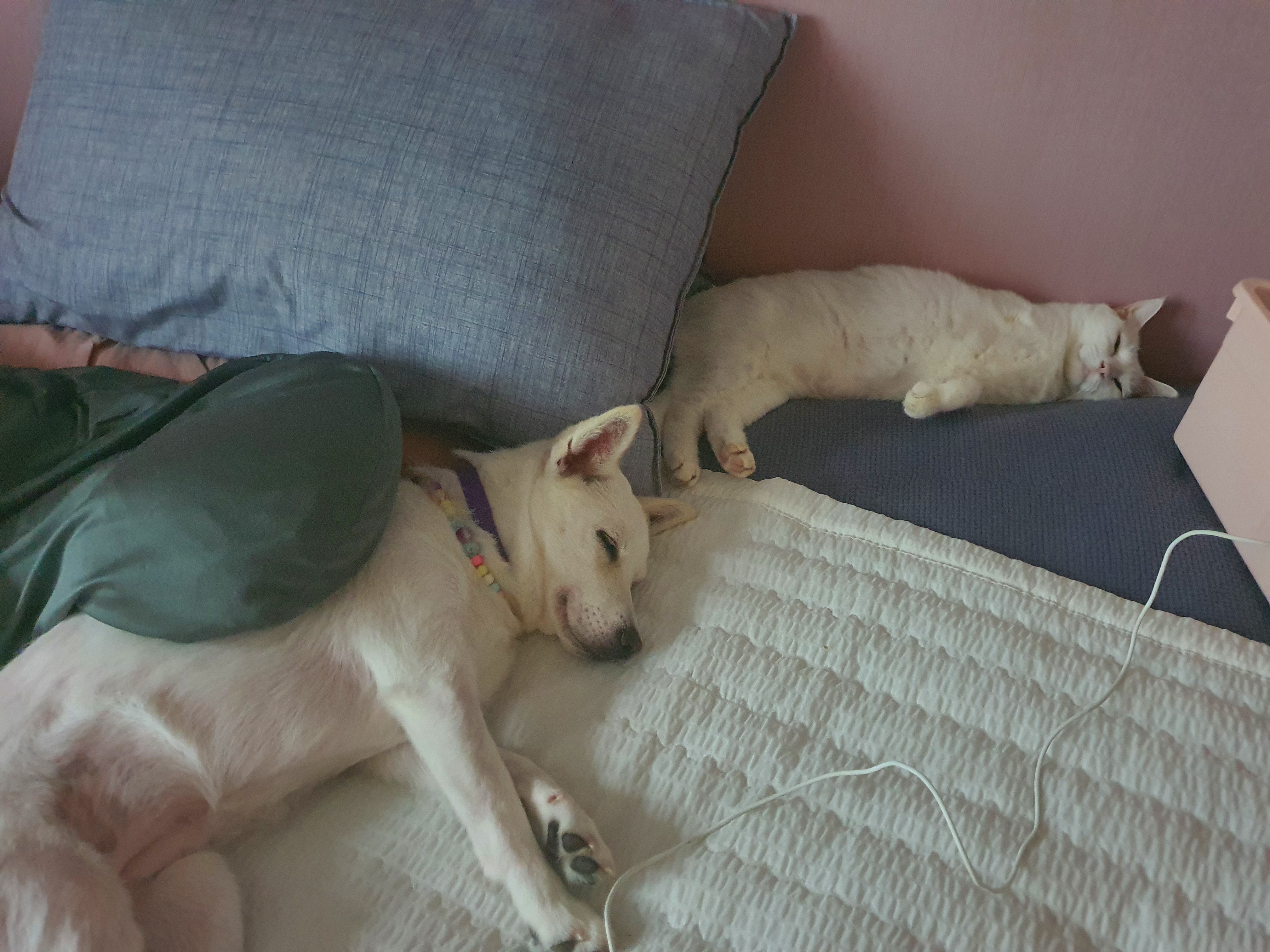 사랑스런 하트^^