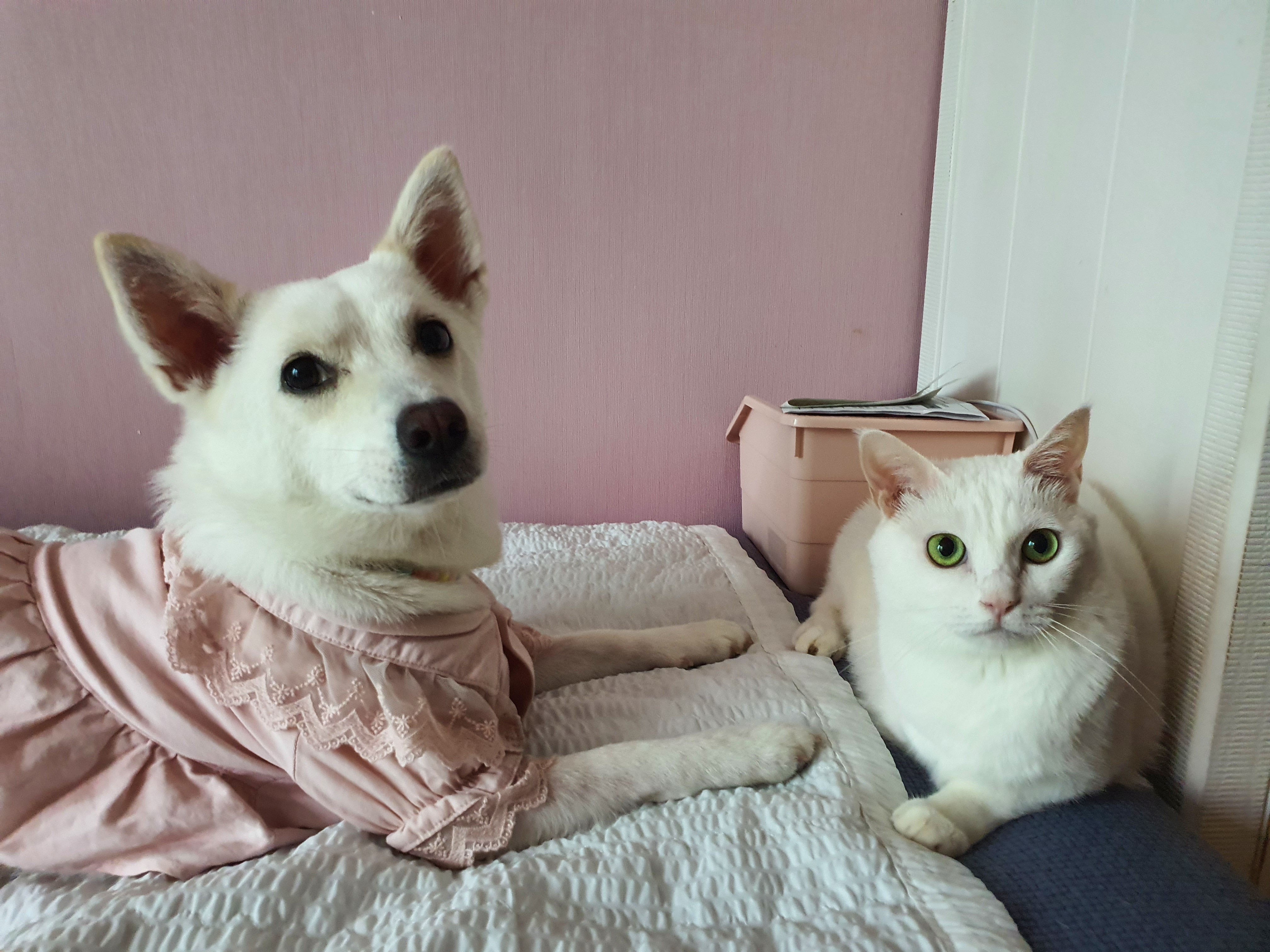 사랑스런 하트^^