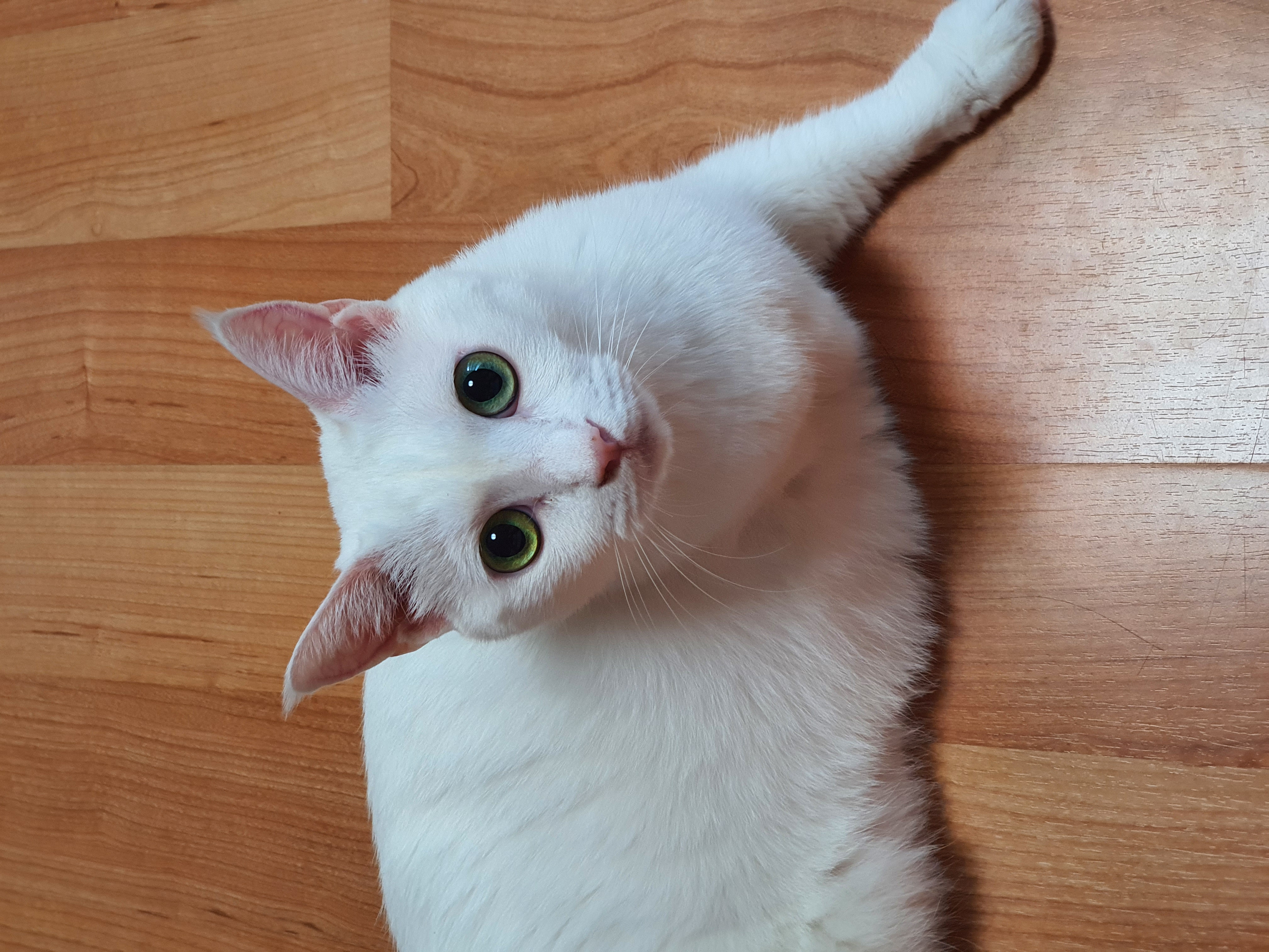 사랑스런 하트^^