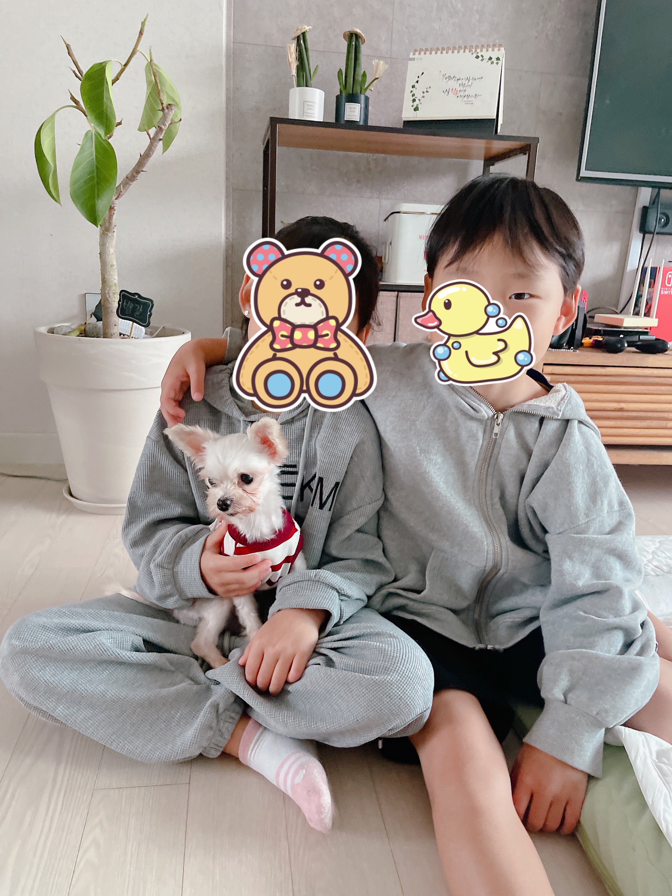 아산구조견 오슬이