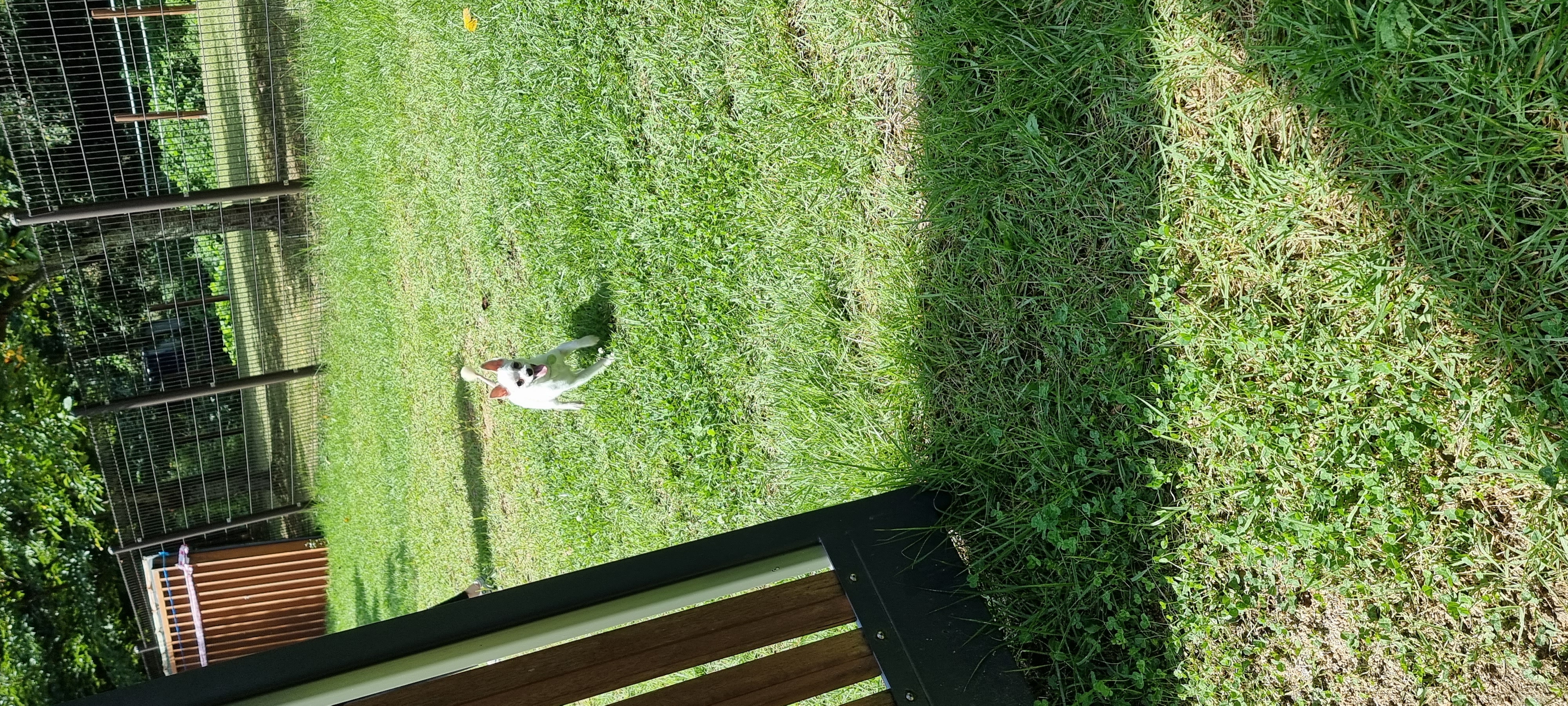 (올리) 한 달 됐어요