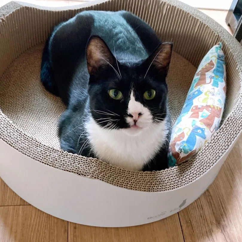 레오(이루)와의 3개월