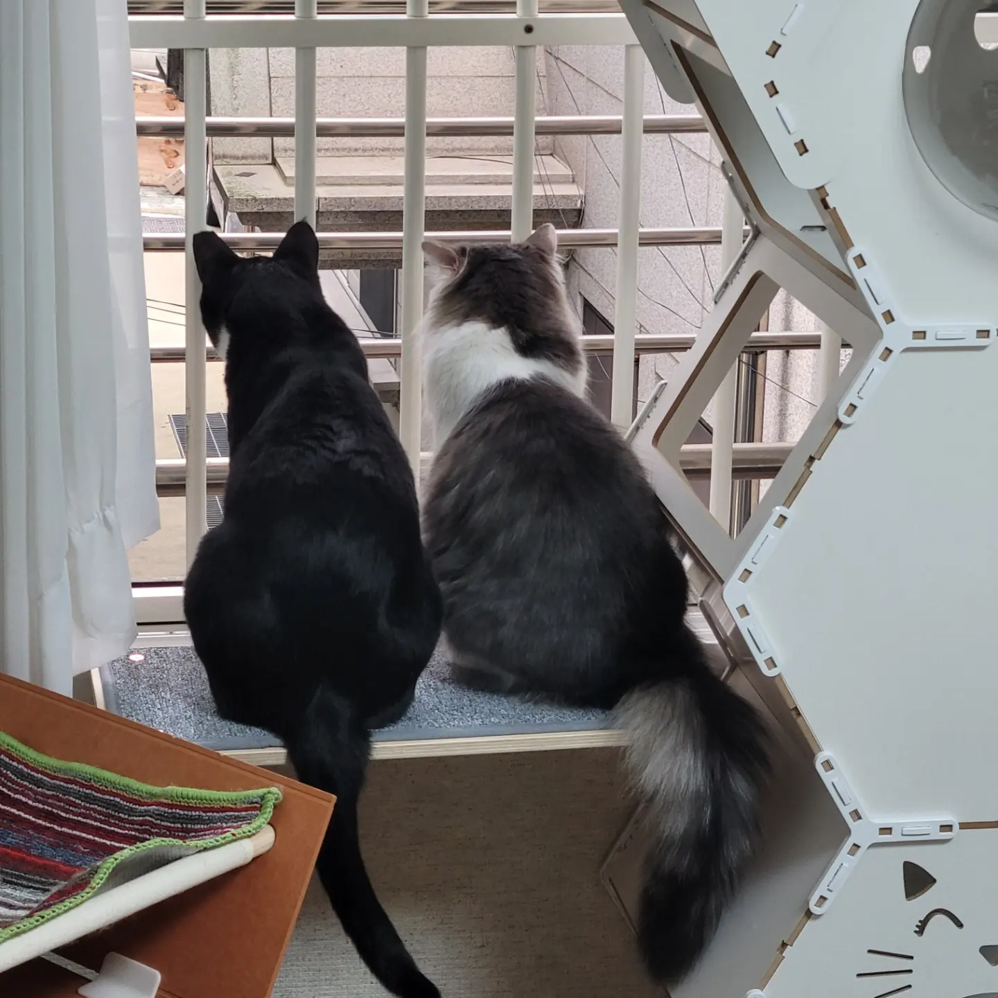 레오(이루)와의 3개월