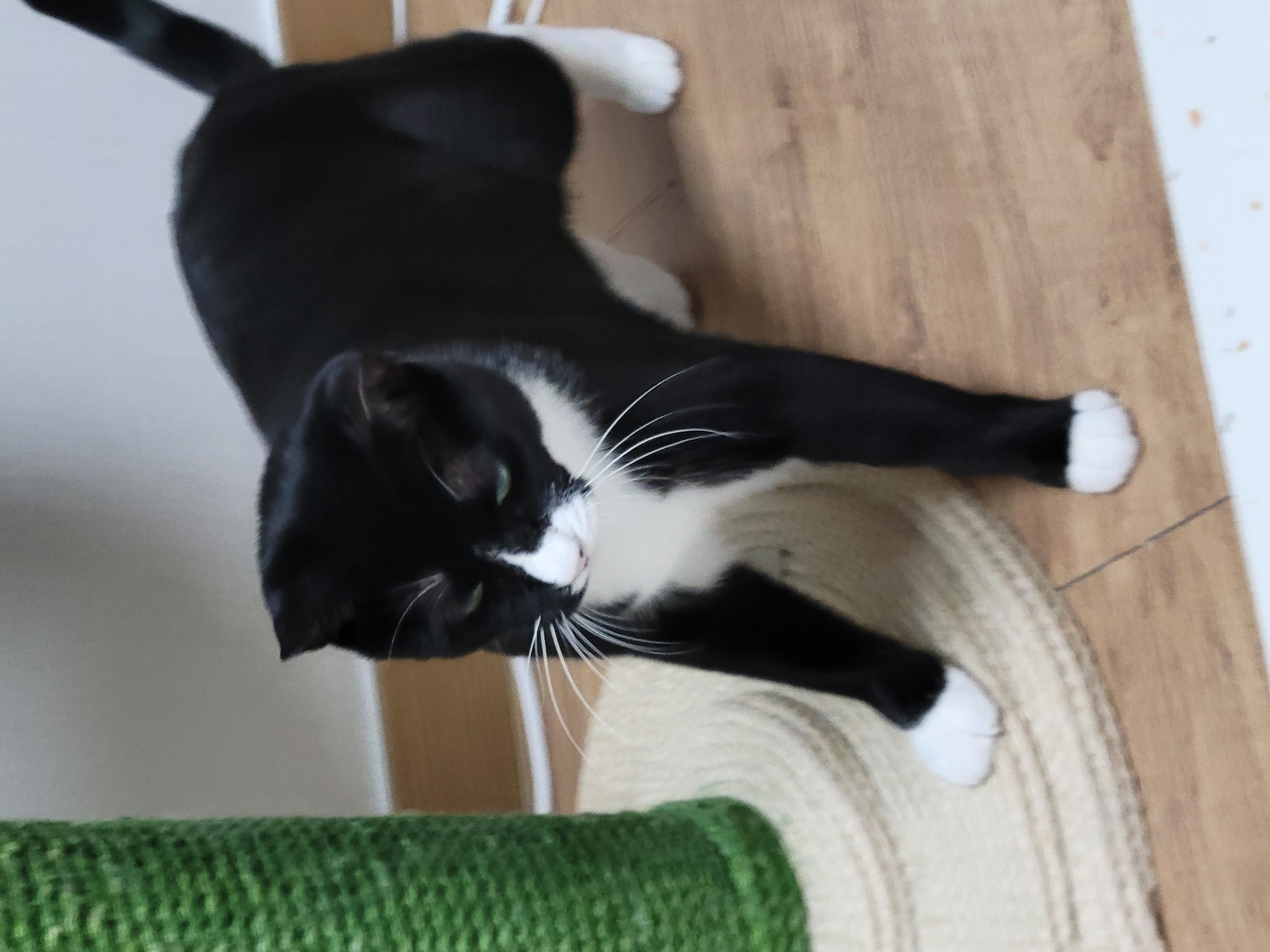 레오(이루)와의 3개월