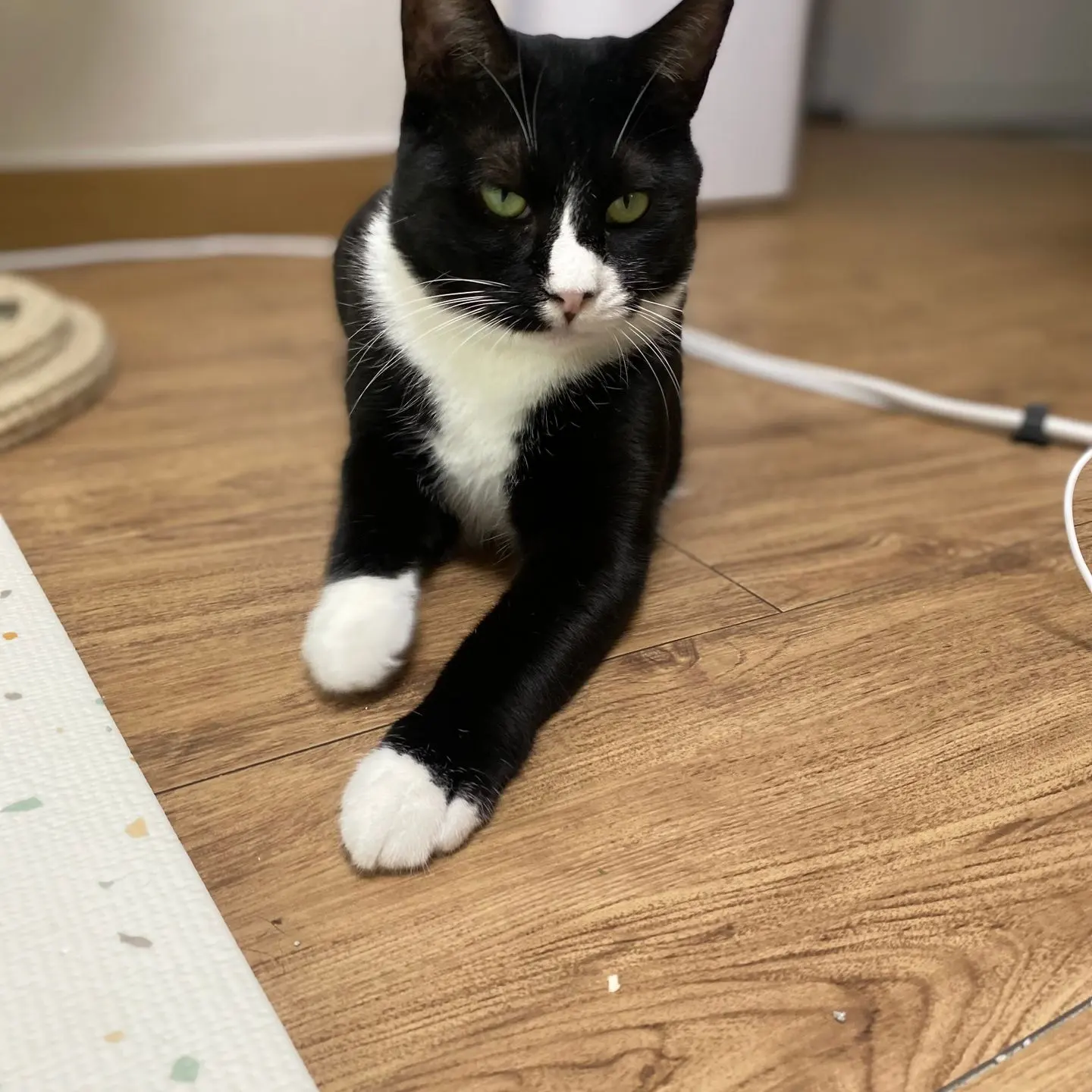 레오(이루)와의 3개월