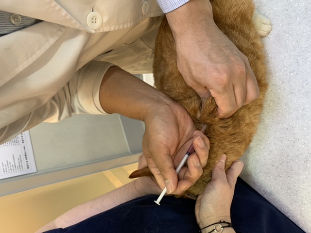 잠시 쉬었다 가실게요