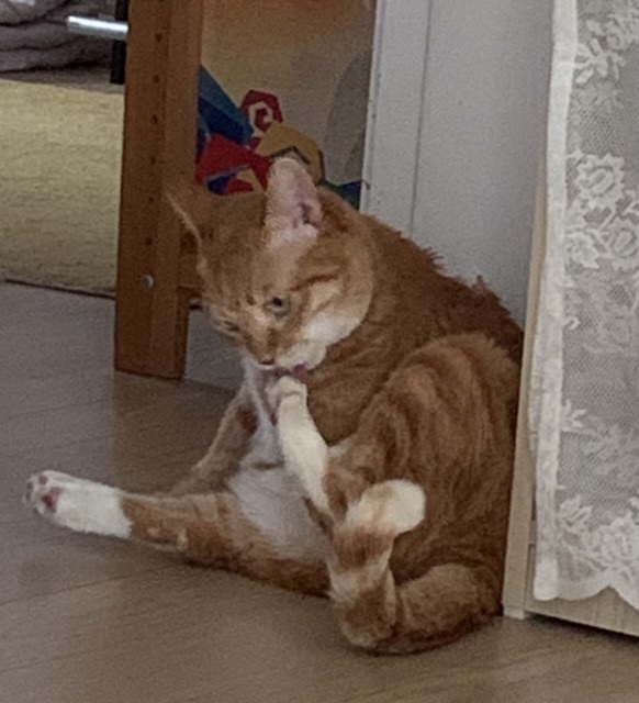 잠시 쉬었다 가실게요