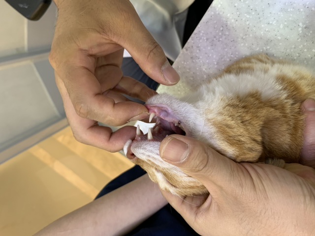 잠시 쉬었다 가실게요