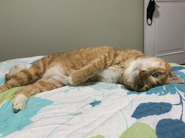 잠시 쉬었다 가실게요