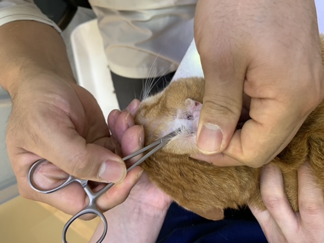 잠시 쉬었다 가실게요