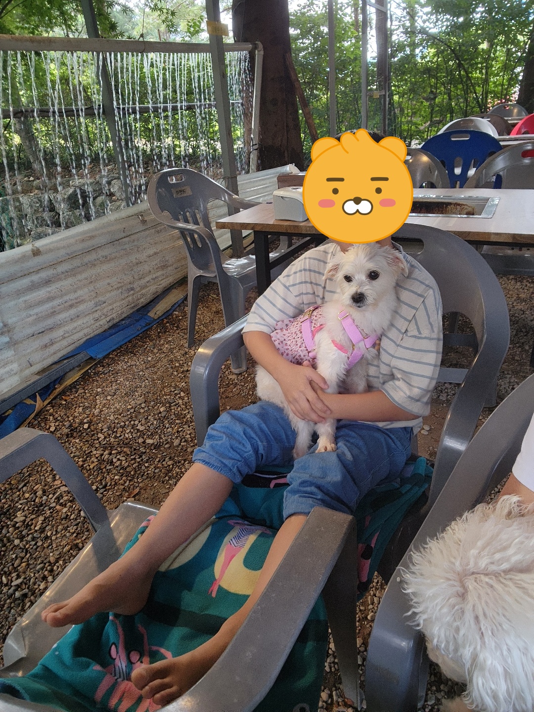 사랑둥이 린티 임보일기 2차♡