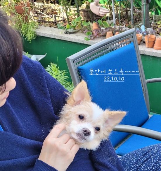 예쁜포나  임보일지