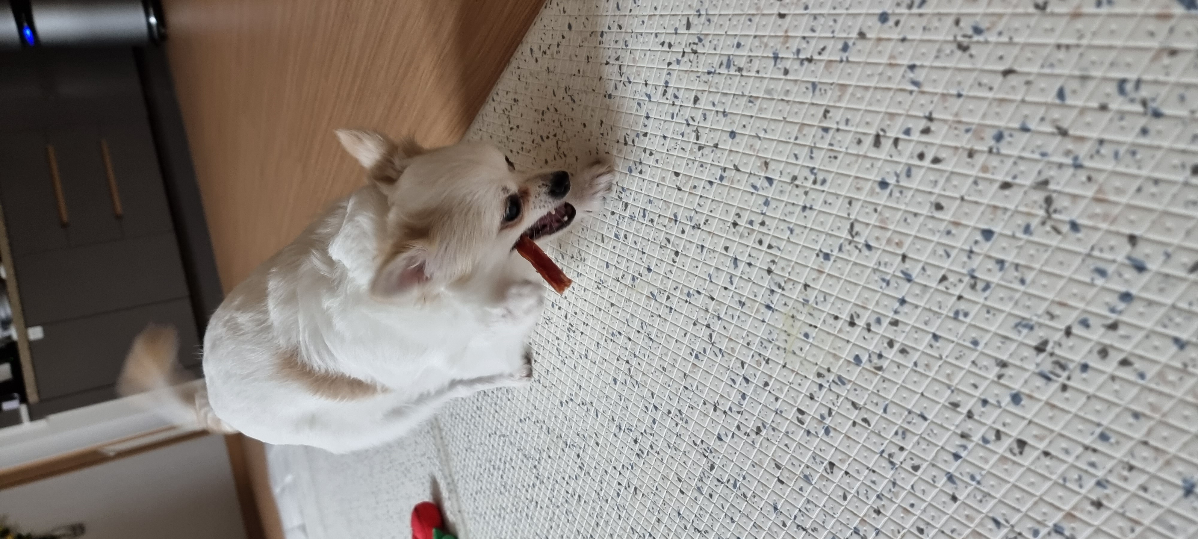 (올리) 벌써 두 달이 됐네요