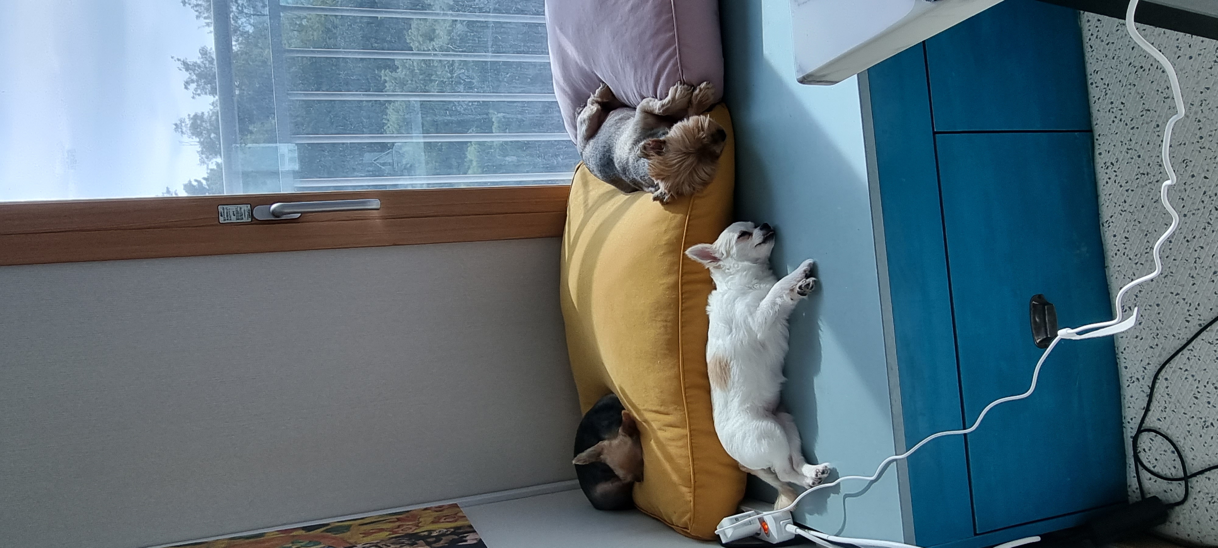 (올리) 벌써 두 달이 됐네요