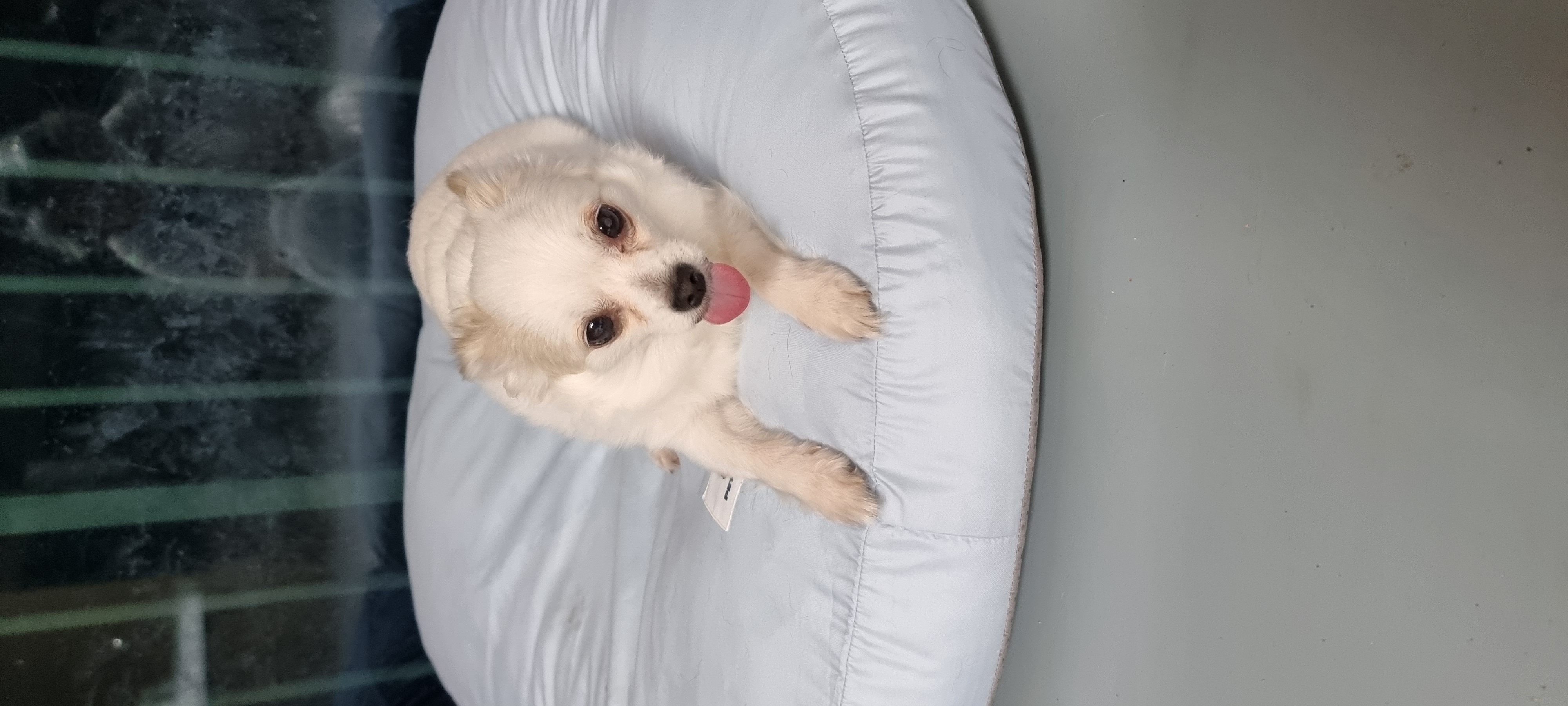 (올리) 벌써 두 달이 됐네요