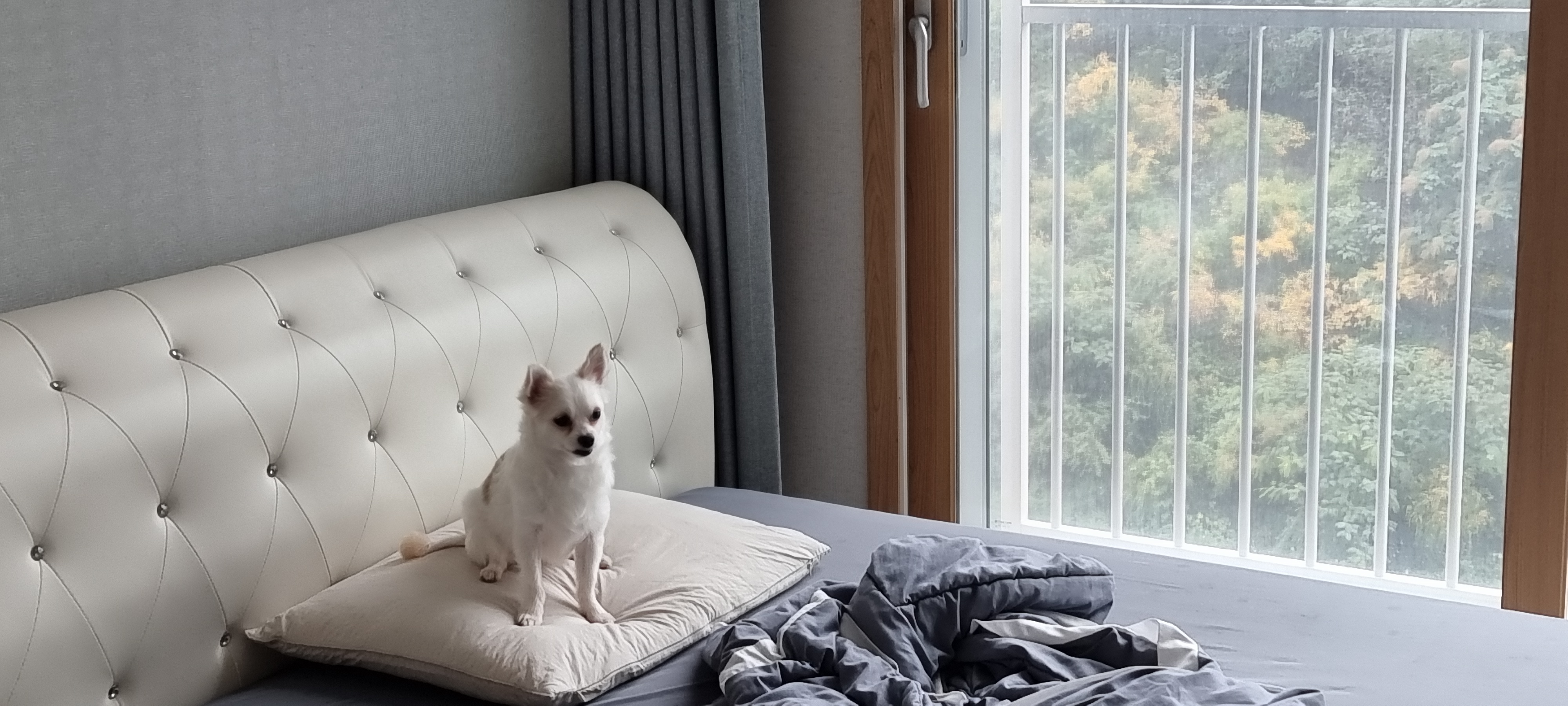 (올리) 벌써 두 달이 됐네요