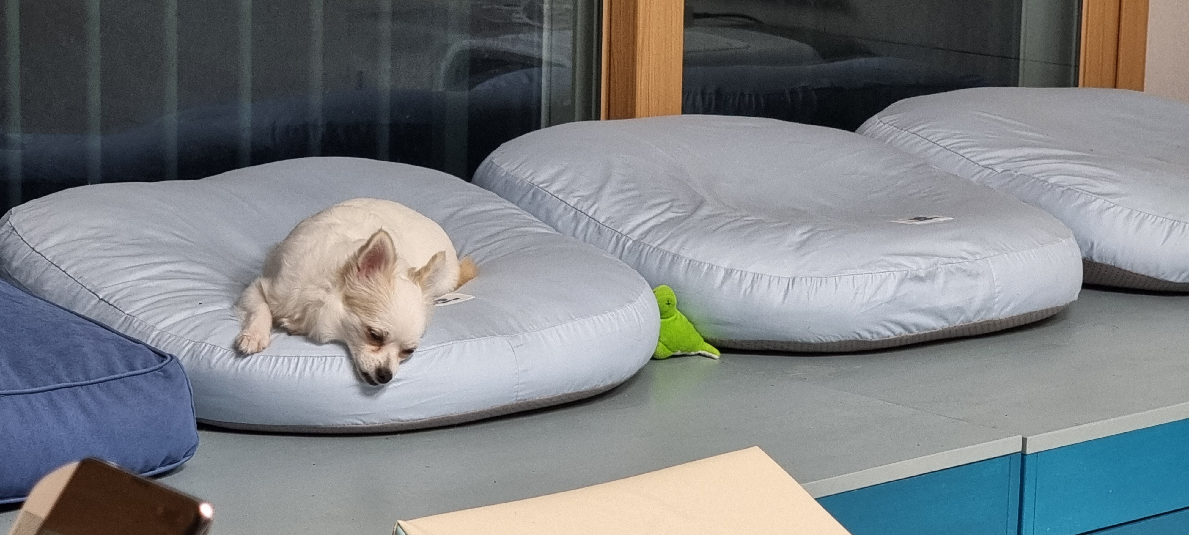 (올리) 벌써 두 달이 됐네요