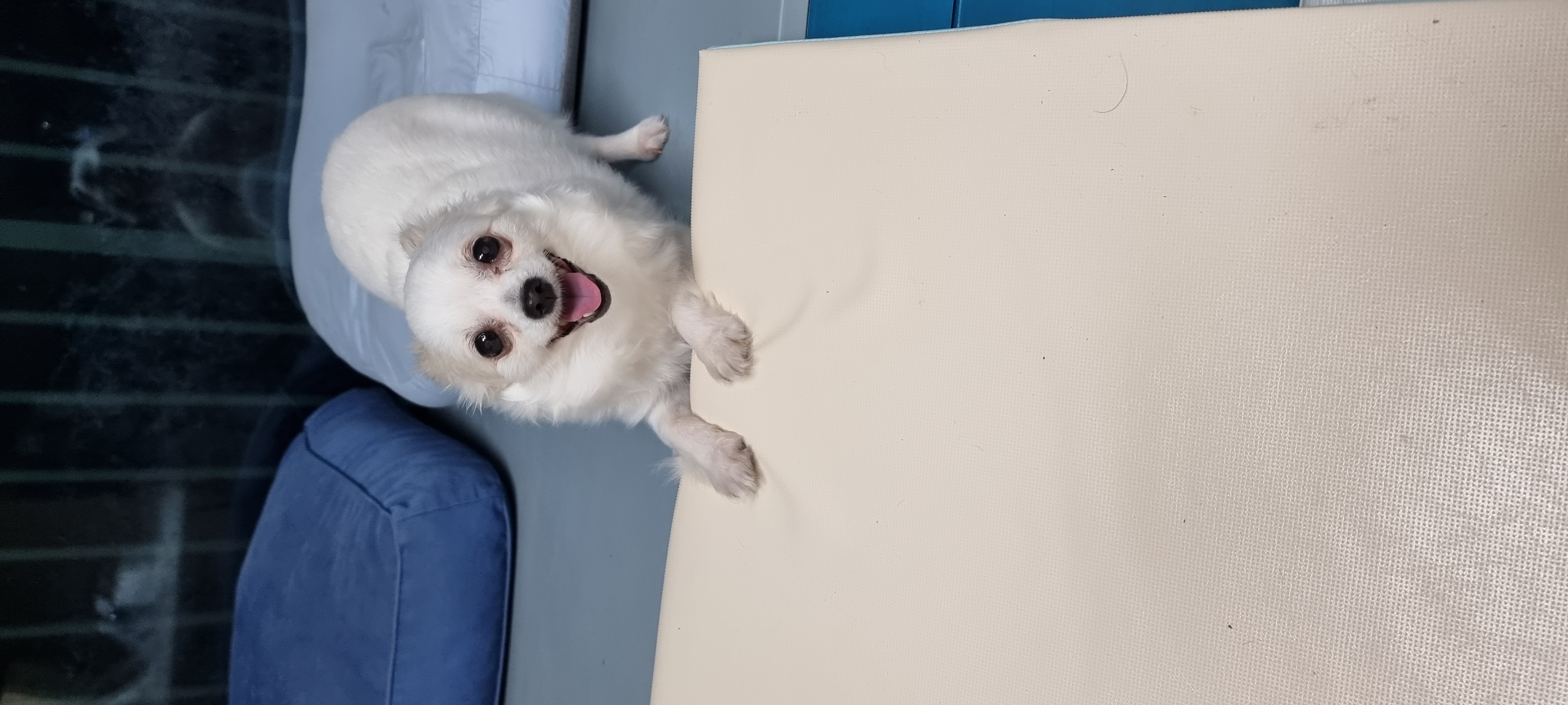 (올리) 벌써 두 달이 됐네요