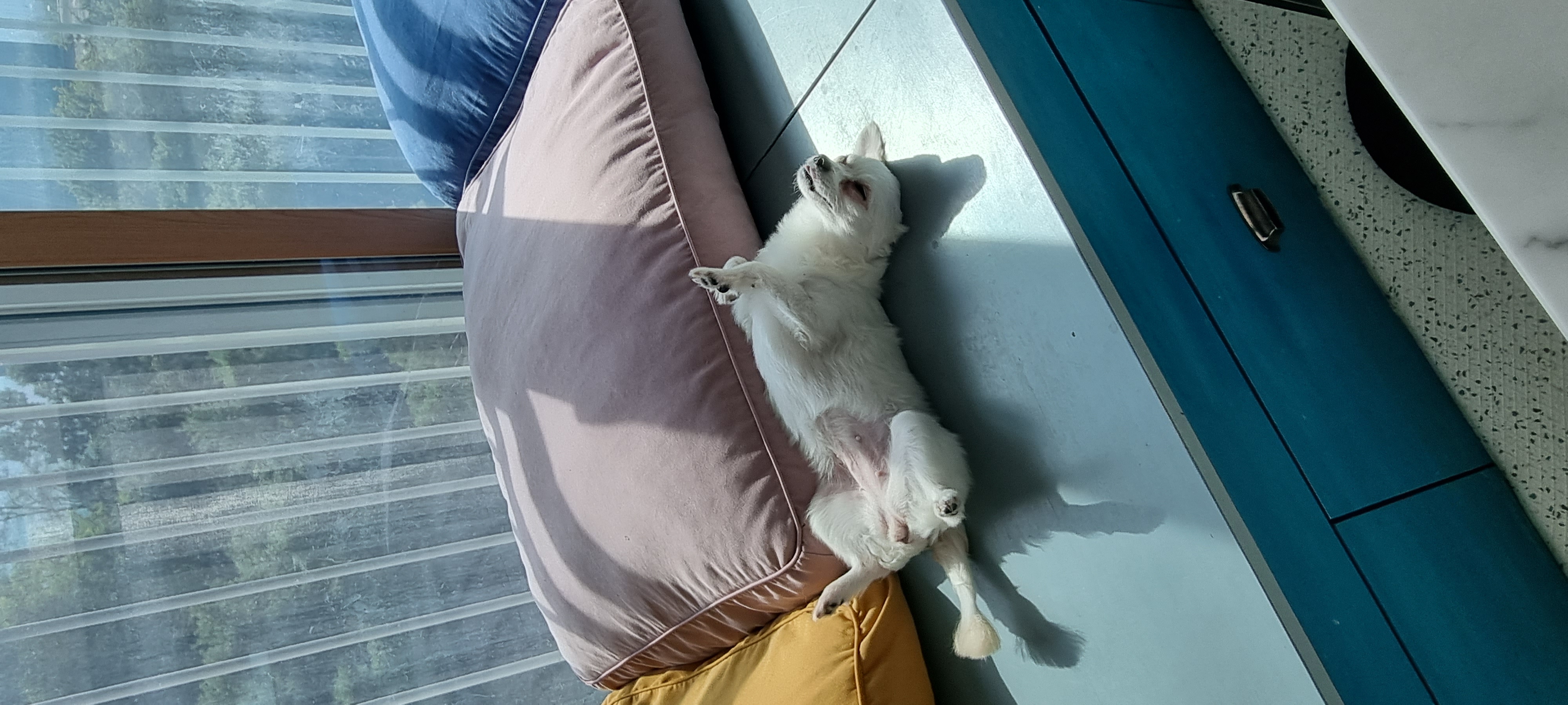 (올리) 벌써 두 달이 됐네요