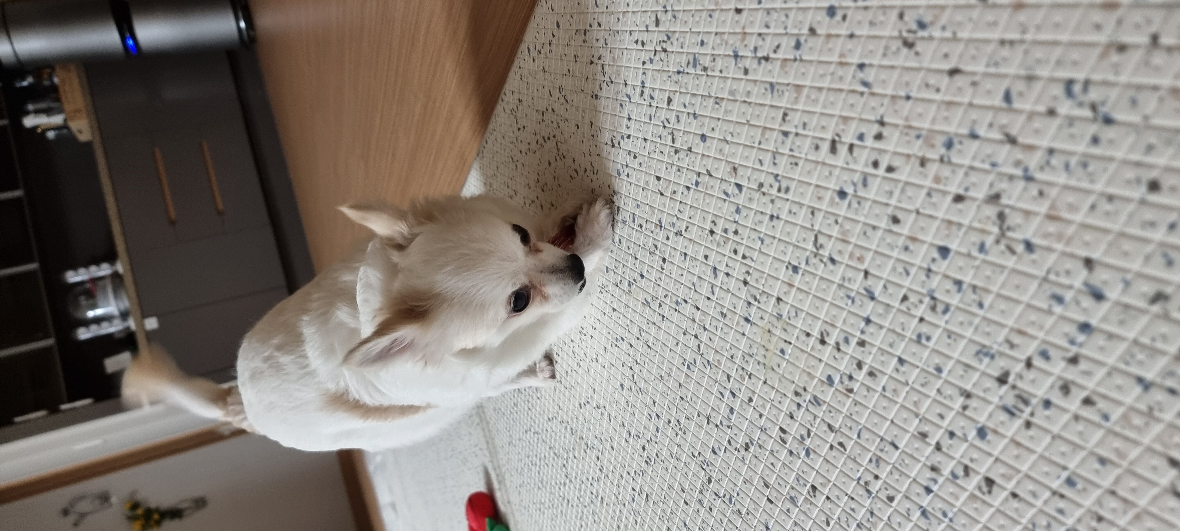 (올리) 벌써 두 달이 됐네요