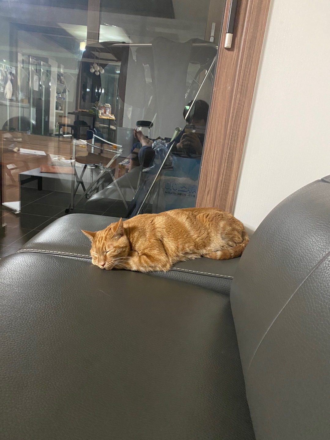 용식이 입양한달