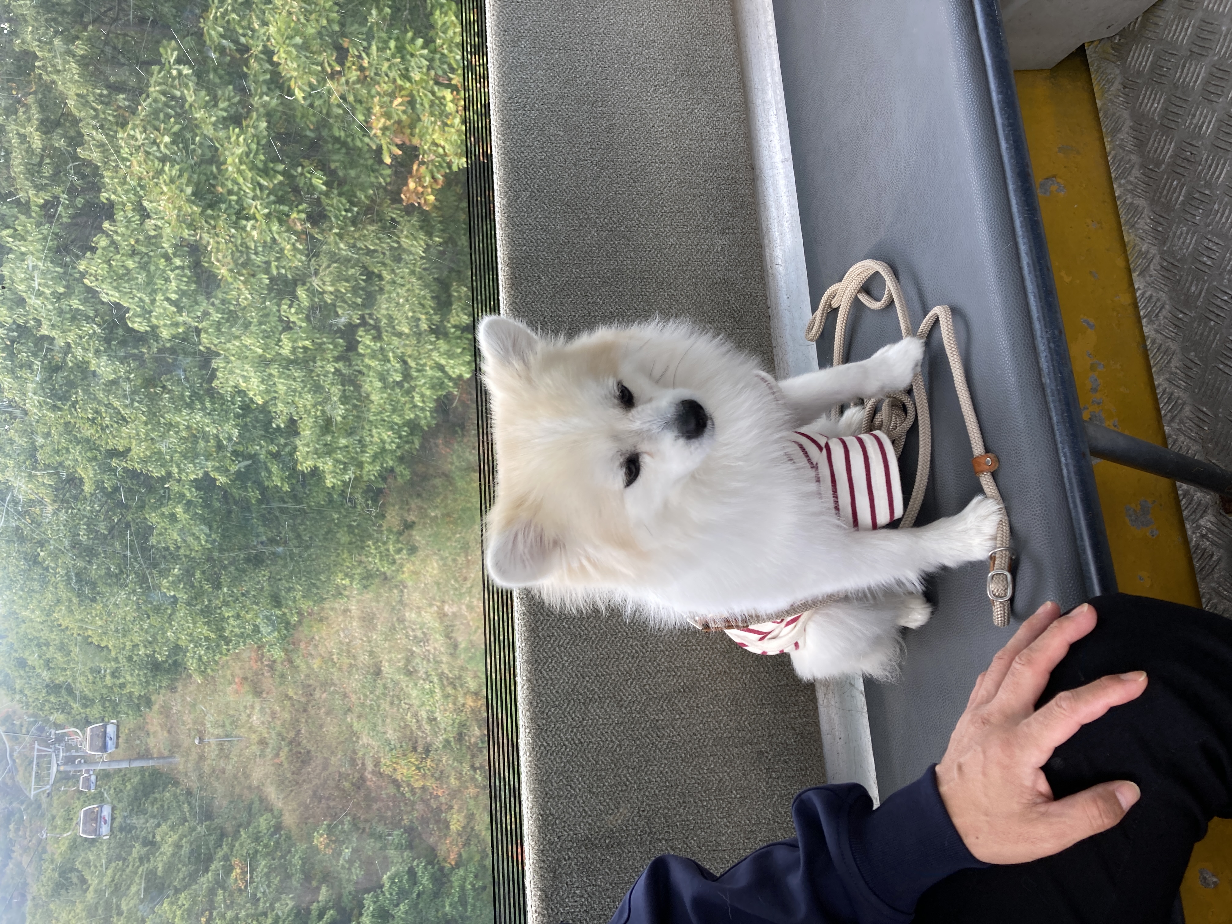 뽀또(마일이) 왔어요~