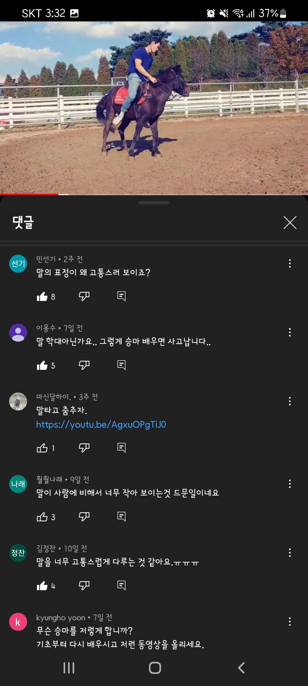 말 학대 제보합니다. 도와주세요