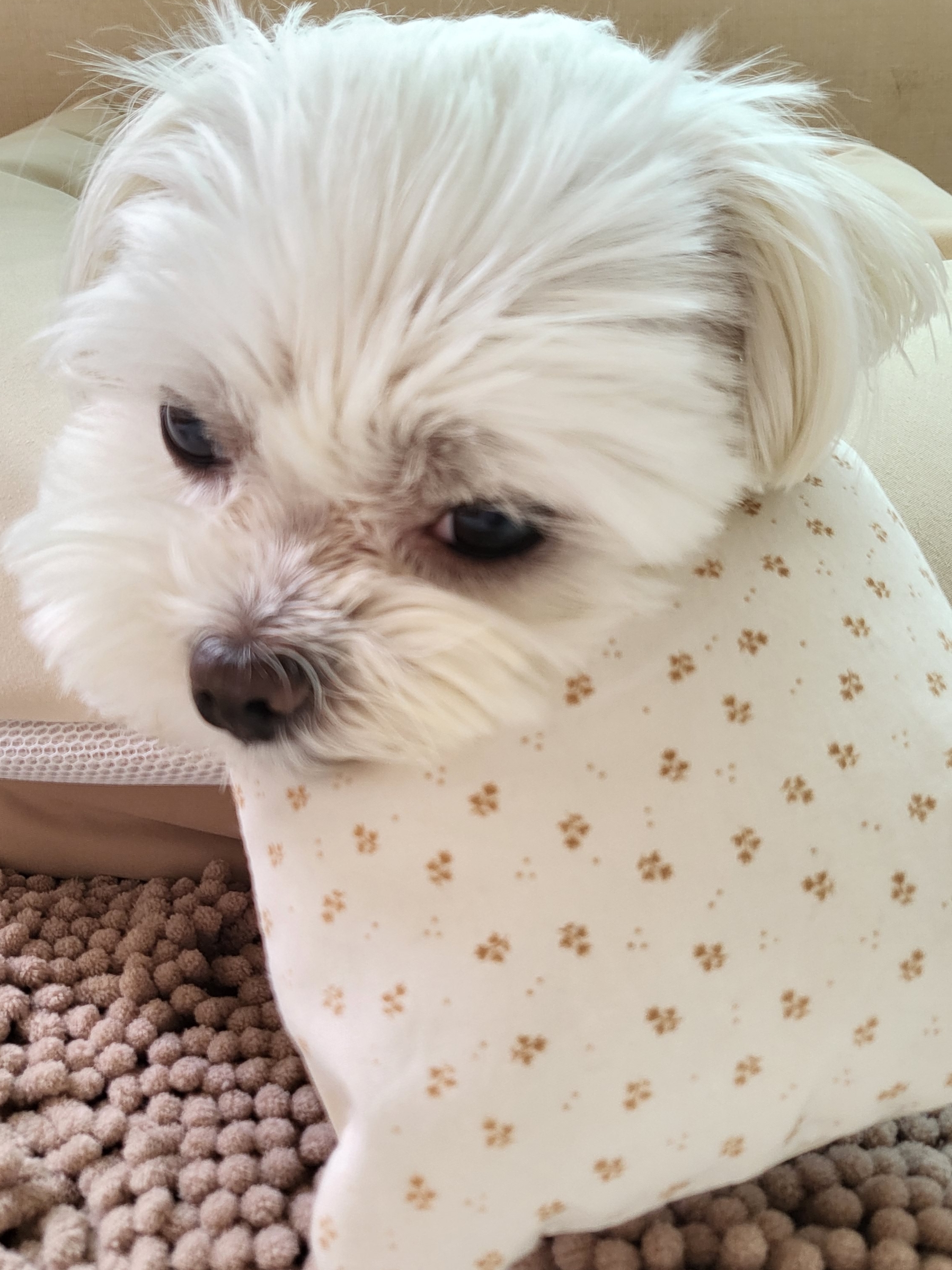 나나 인사드려요 ^^