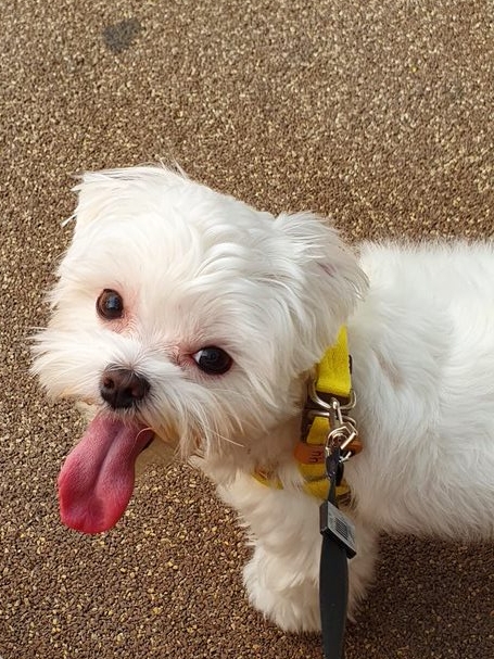 나나 인사드려요 ^^