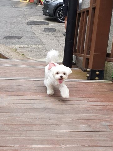 나나 인사드려요 ^^