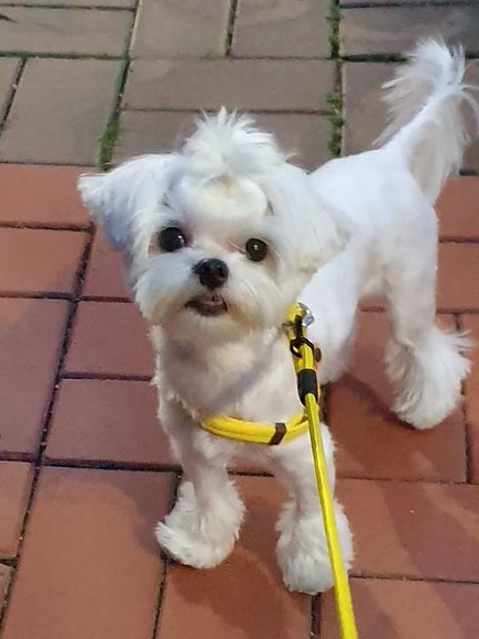 나나 인사드려요 ^^