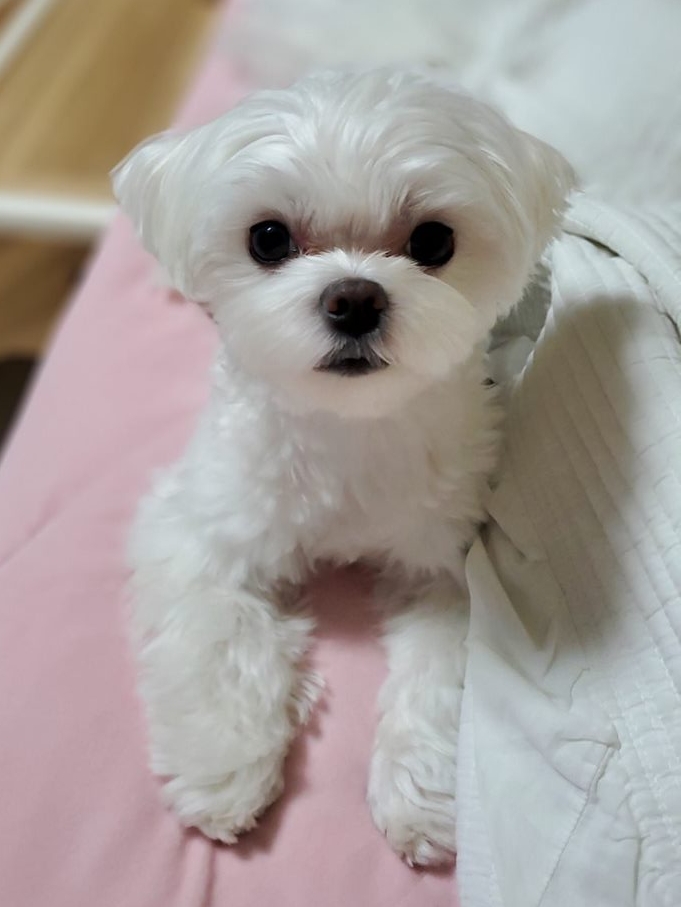 나나 인사드려요 ^^