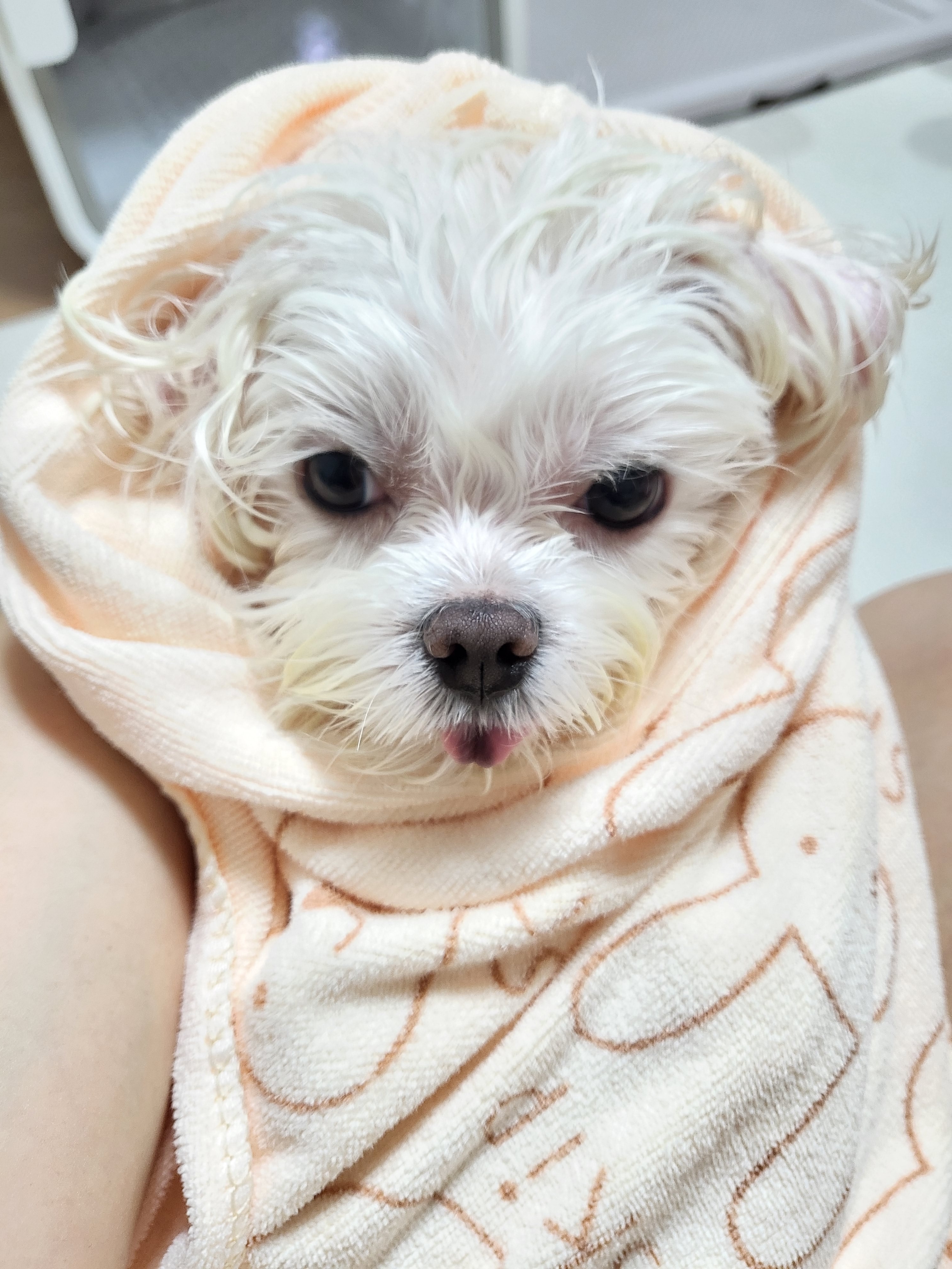 나나 인사드려요 ^^