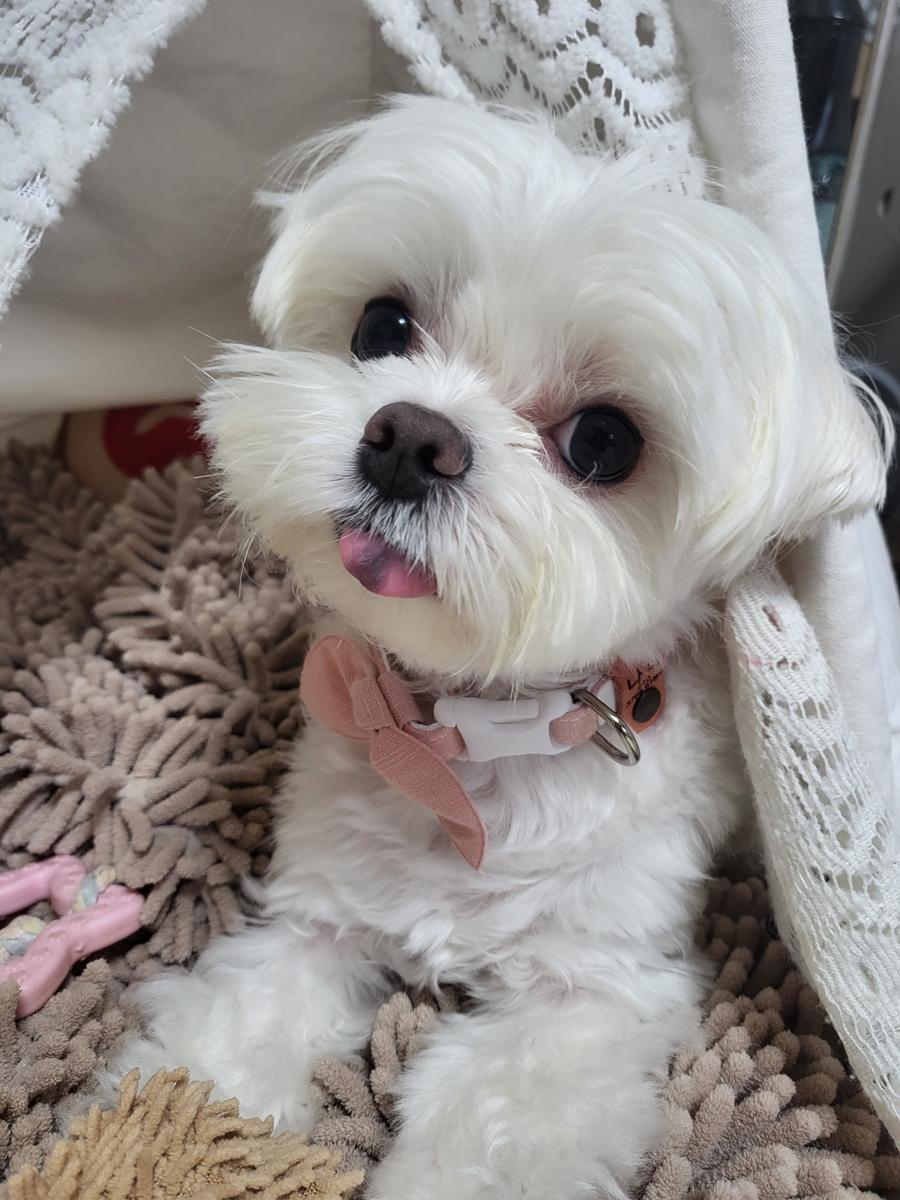 나나 인사드려요 ^^