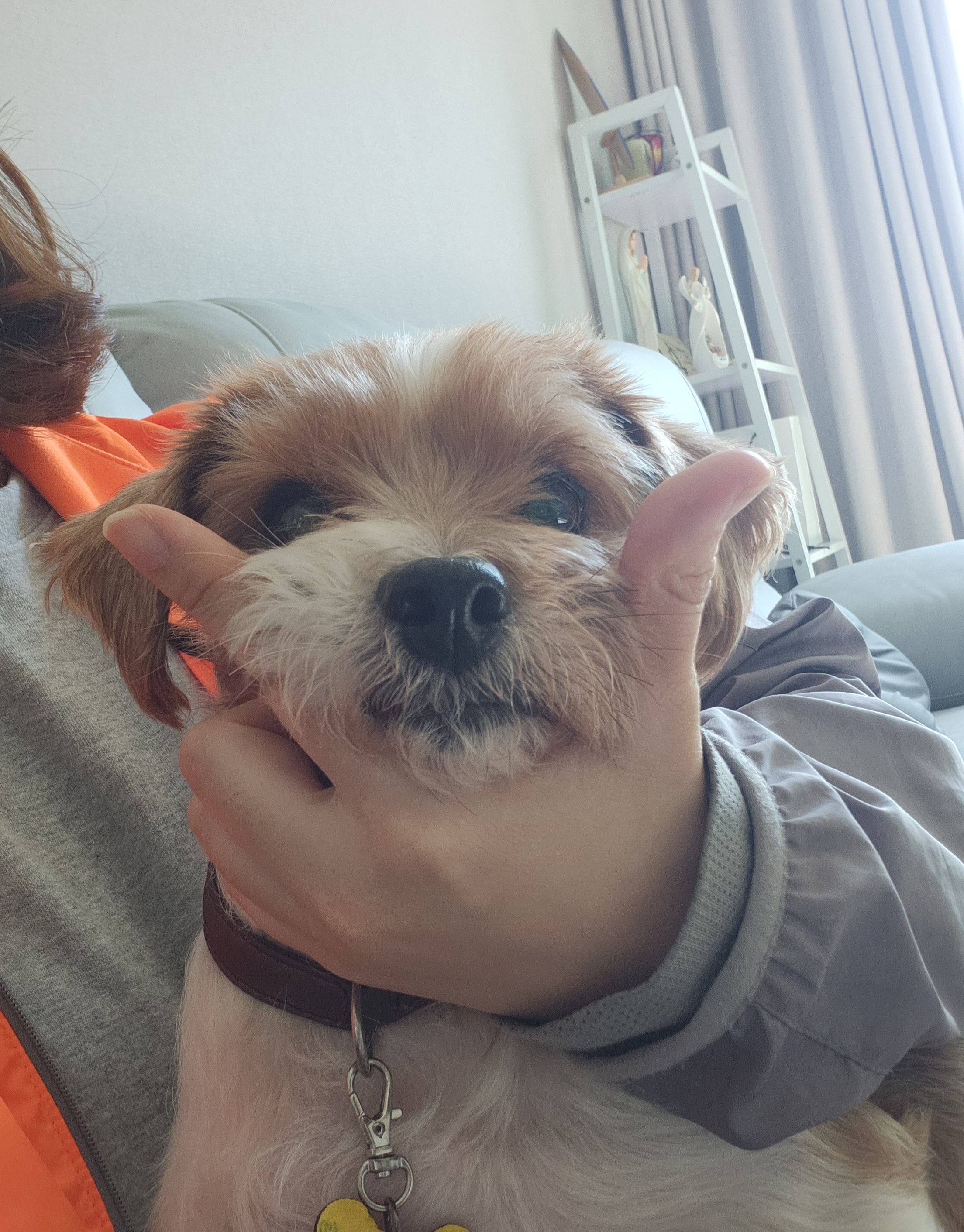 달봉(대금)이 오랜만에 찾아왔어요.