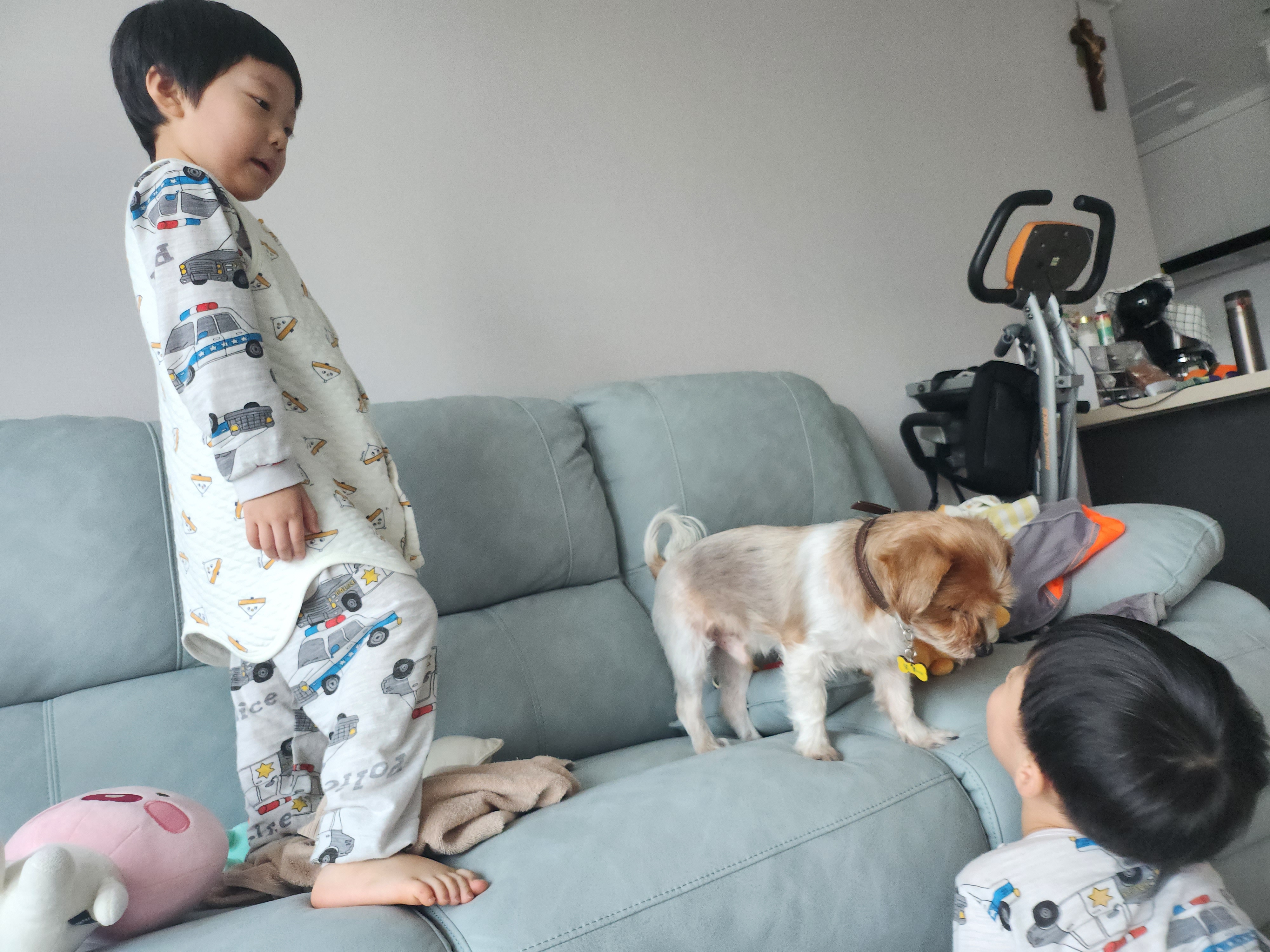 달봉(대금)이 오랜만에 찾아왔어요.